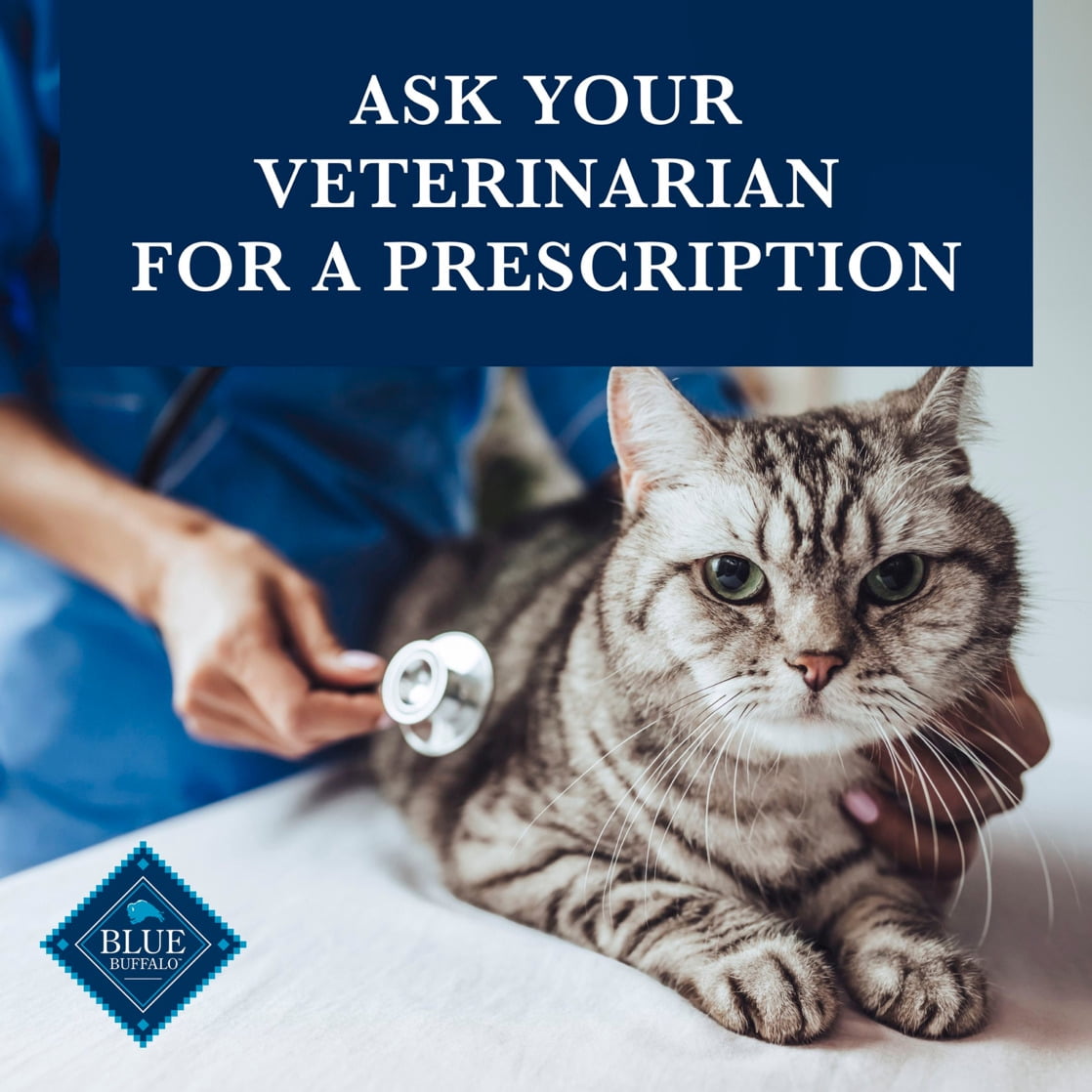 Blue Buffalo Natural Veterinary Diet HF Hydrolyzed Food Intolerance Dry Cat Food, Salmon - Image 4