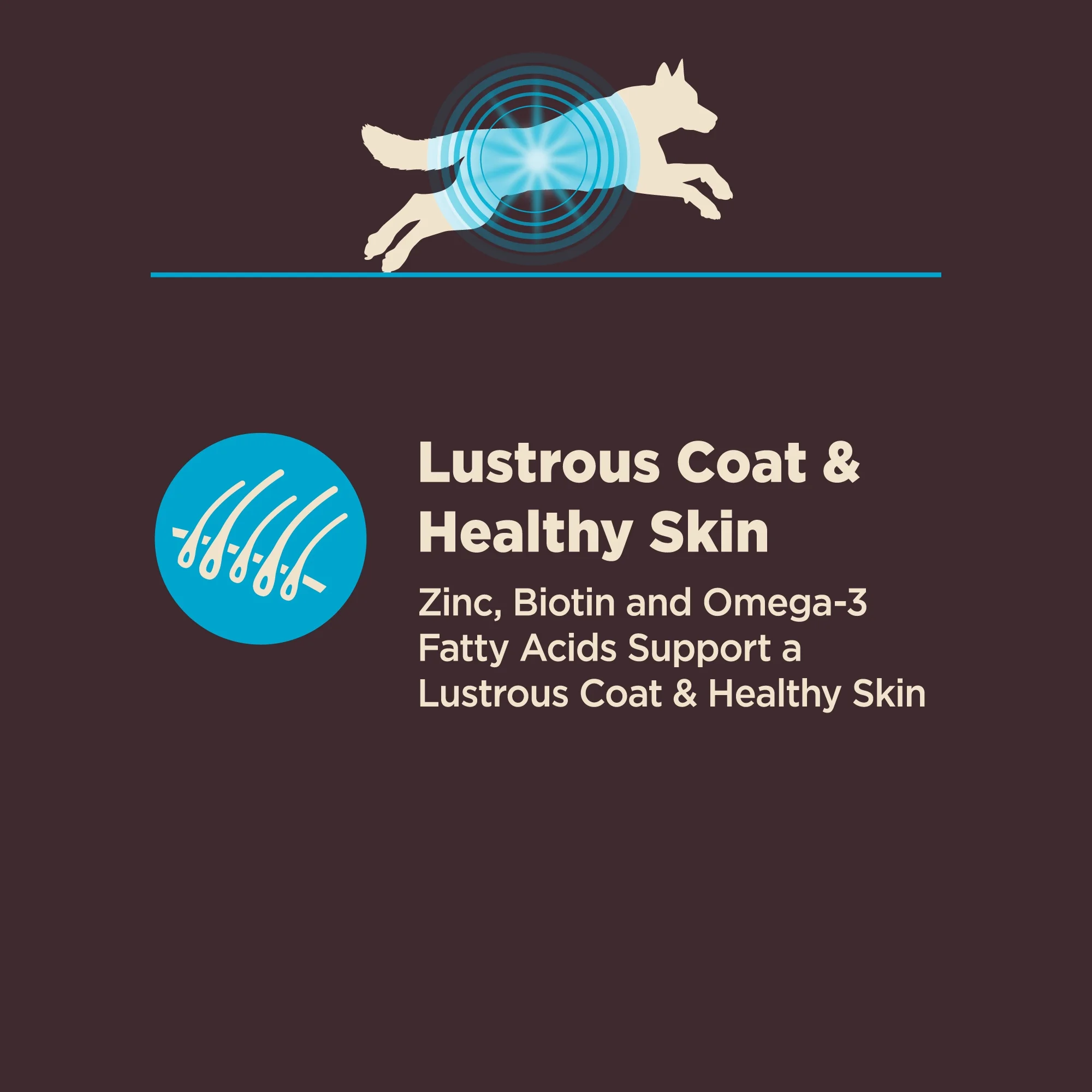 Wellness CORE Digestive Health Dry Dog Food, Wholesome Grains, Natural, High-Quality Ingredients for Dogs with Sensitive Stomachs, Whitefish & Brown Rice Recipe, (22-Pound Bag) - Image 3