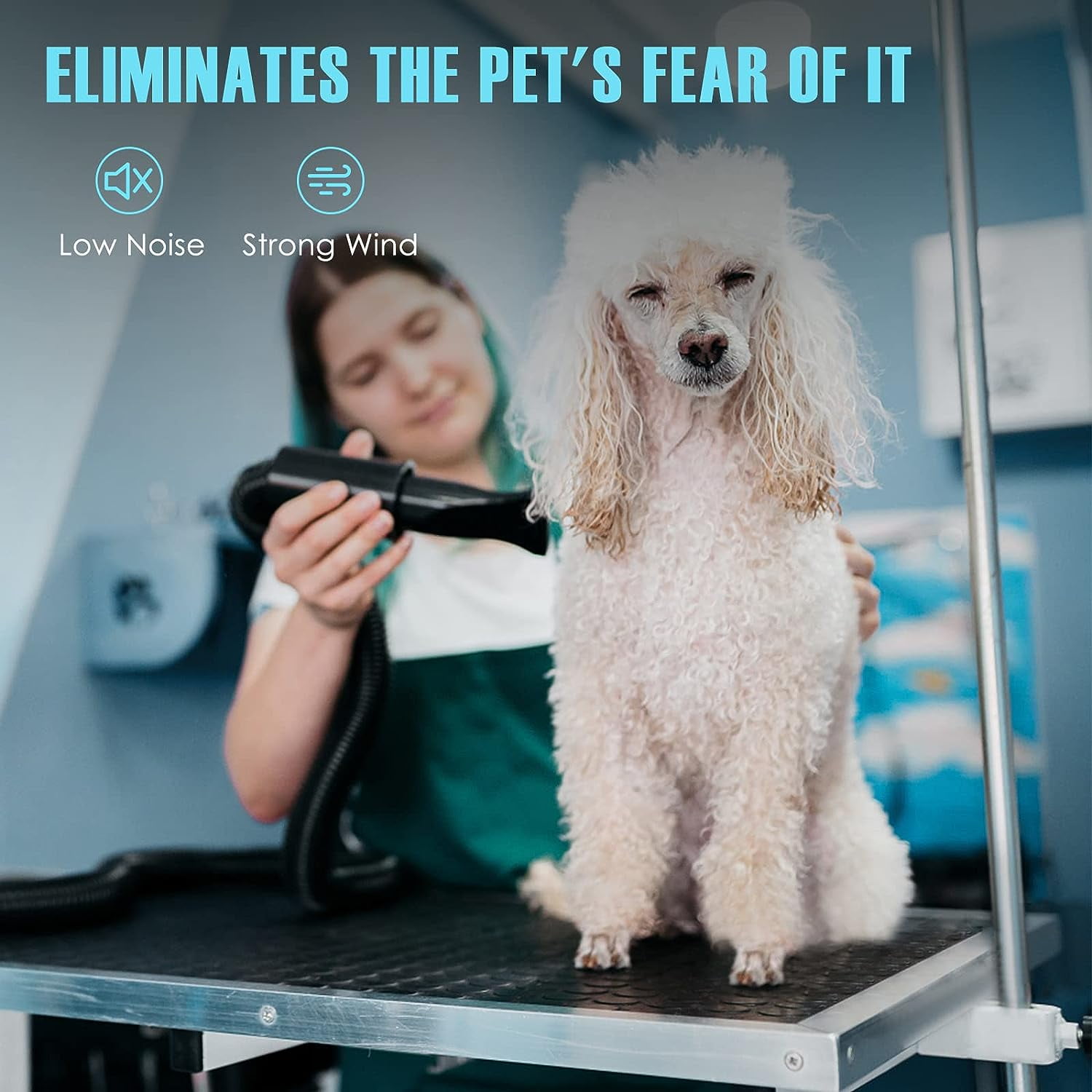 Dog Dryer, 4.3HP/ 3200W High Velocity Dog Hair Dryer for Pet Grooming, Dog Blow Dryer for Large Dogs, Adjustable Speed and Temperature Control with 4 Different Nozzles(Black) - Image 6