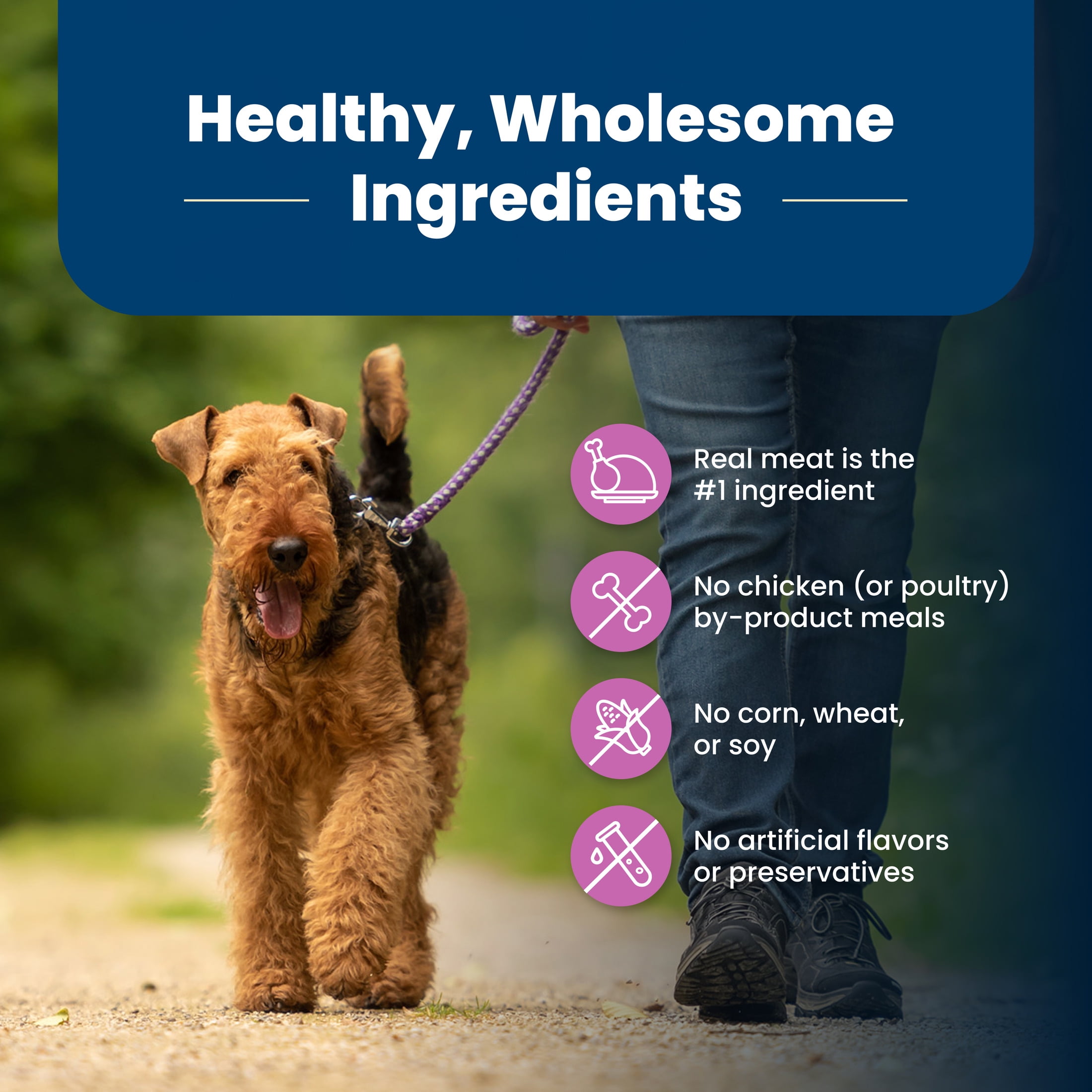 Blue Buffalo Life Protection Formula Large Breed Dry Dog Food, Lamb & Rice, 30-lb. Bag - Image 7