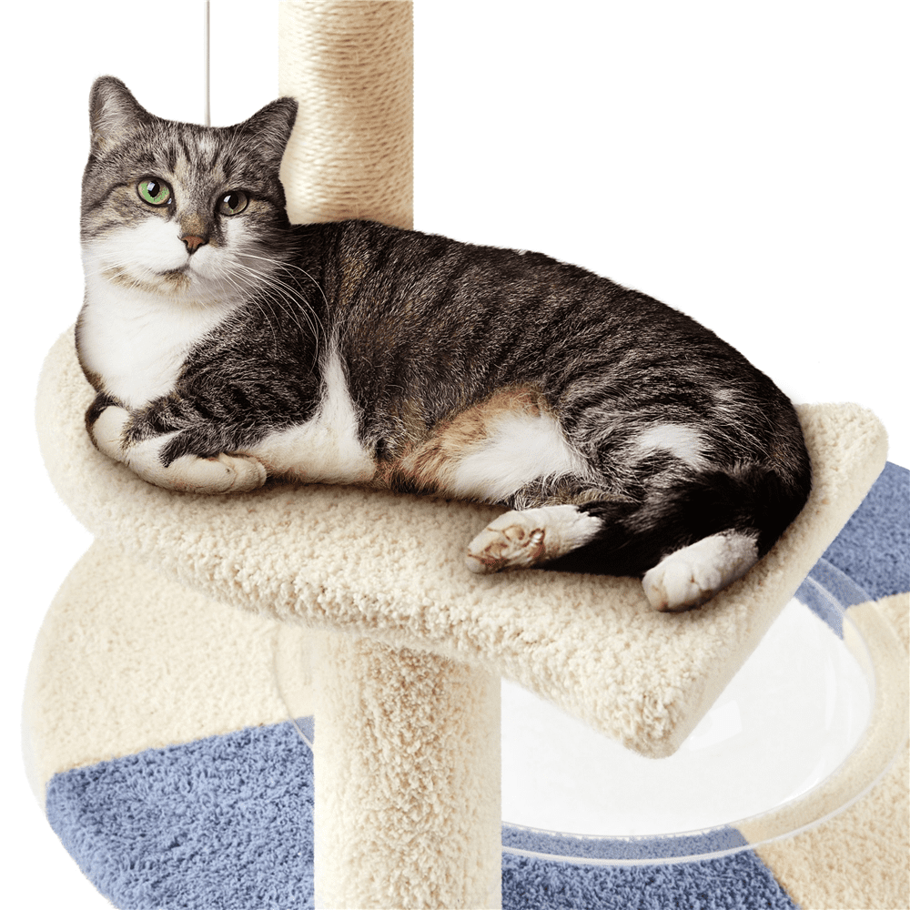 Alden Design 35.5″H Ocean Cat Tree with Padded Perch Natural Sisal for Kittens, Blue/Beige - Image 6