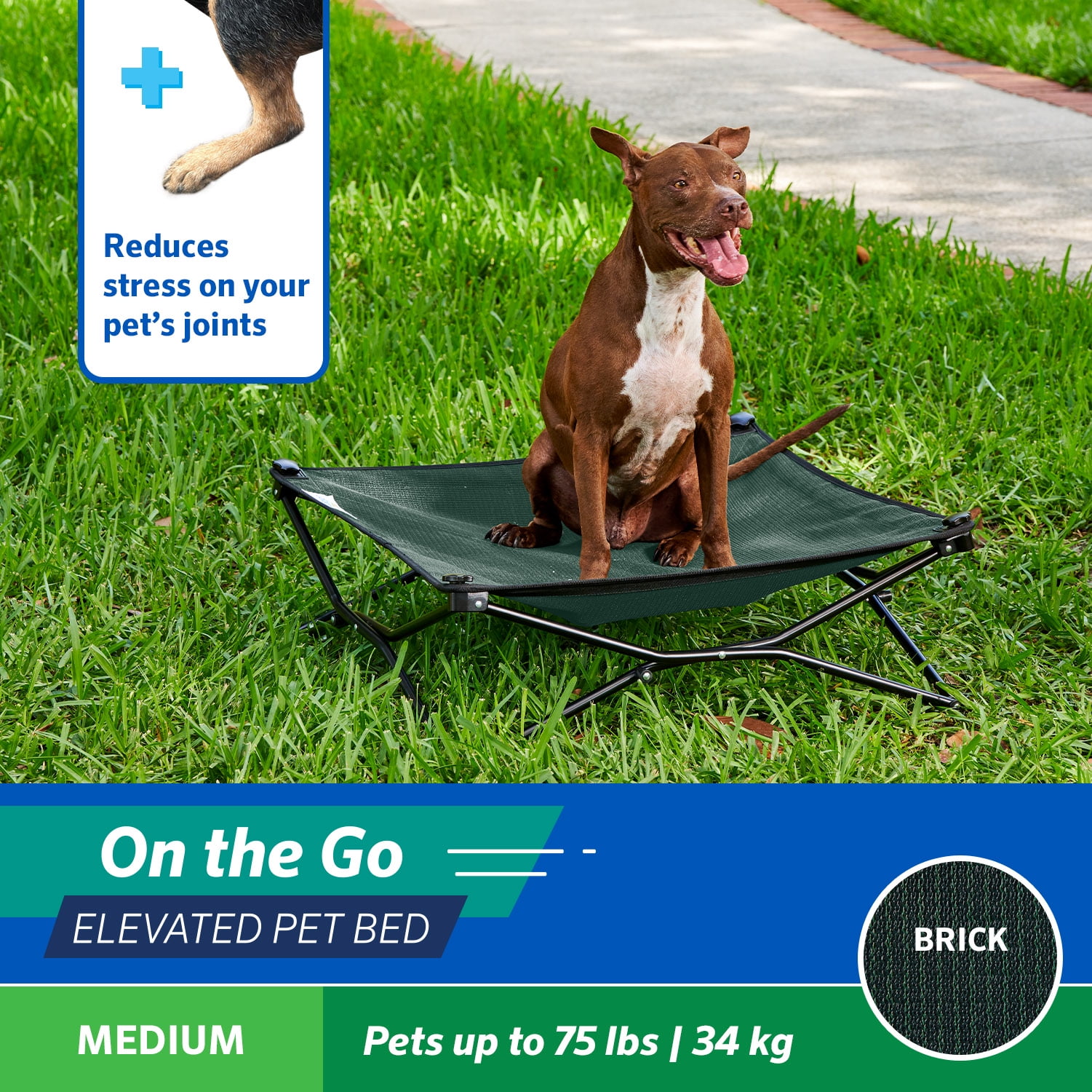 Coolaroo On the Go Elevated Travel Dog Bed, Medium, Brunswick Green - Image 2