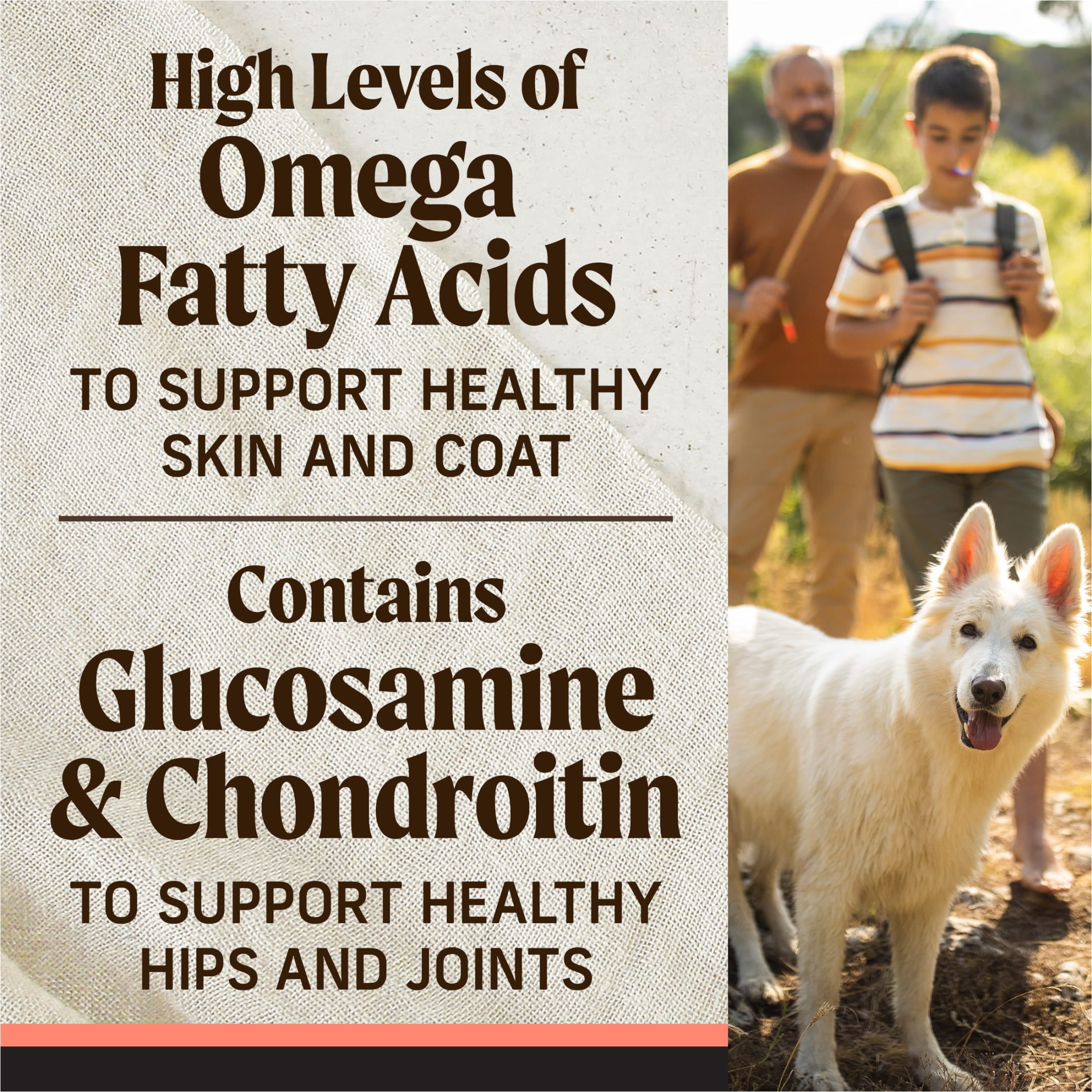 Merrick Backcountry Grain Free Dry Adult Dog Food, Kibble With Freeze Dried Raw Pieces, Pacific Catch With Salmon, 20.0 lb. Bag - Image 4