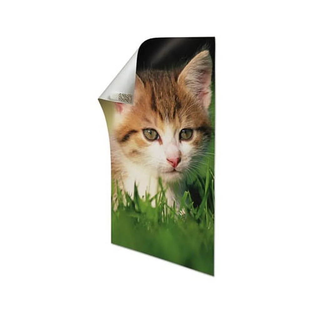 Command Poster Strips, White, 4/Pack, 100 Packs/Carton - MMM17024CABPK - Image 4