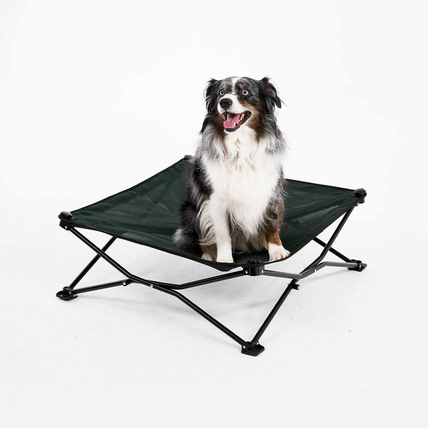 Coolaroo On the Go Elevated Travel Dog Bed, Medium, Brunswick Green - Image 6