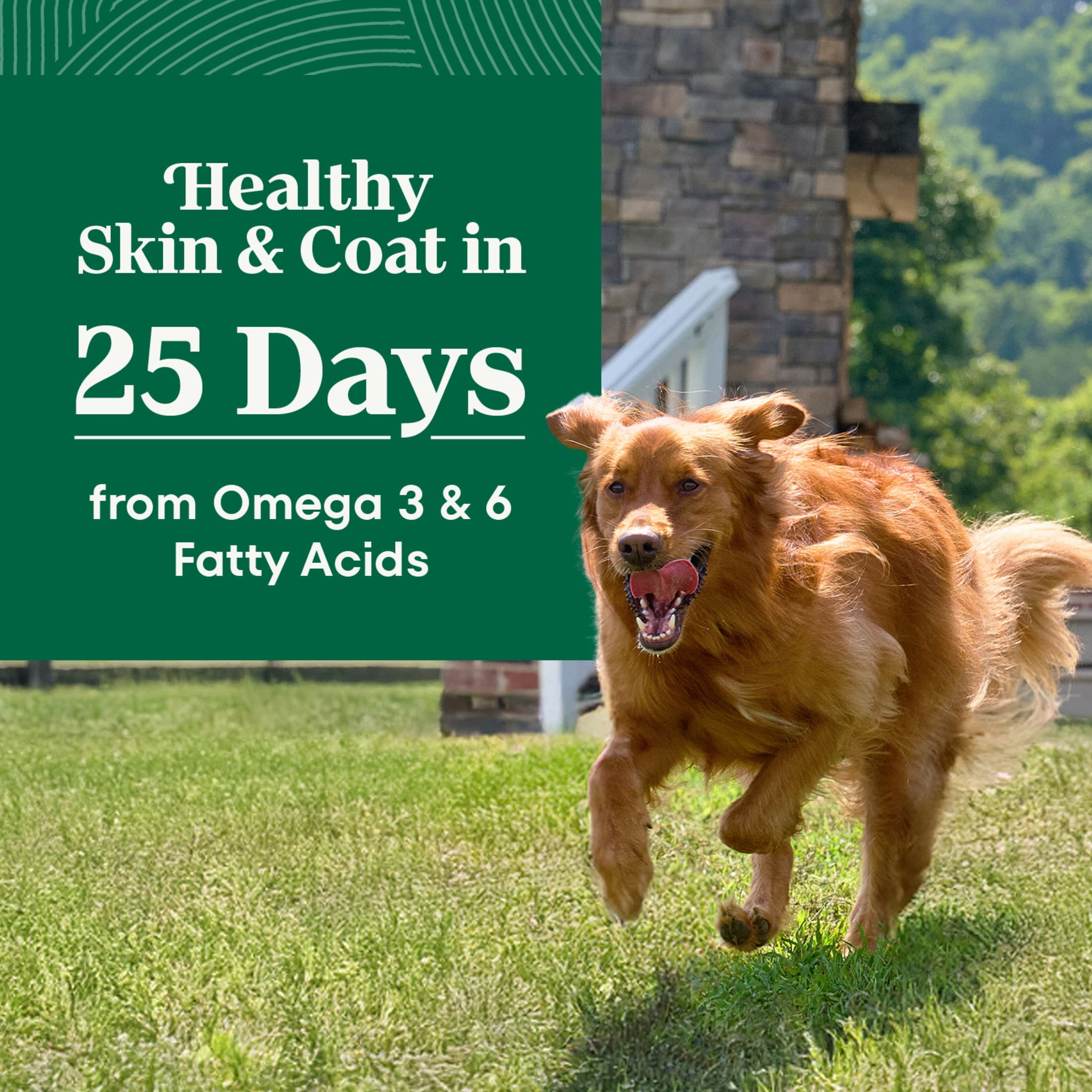 Nutro Natural Choice Adult Large Breed Dog Food Dry Recipe Chicken & Brown Rice, 36 Lb Bag - Image 13