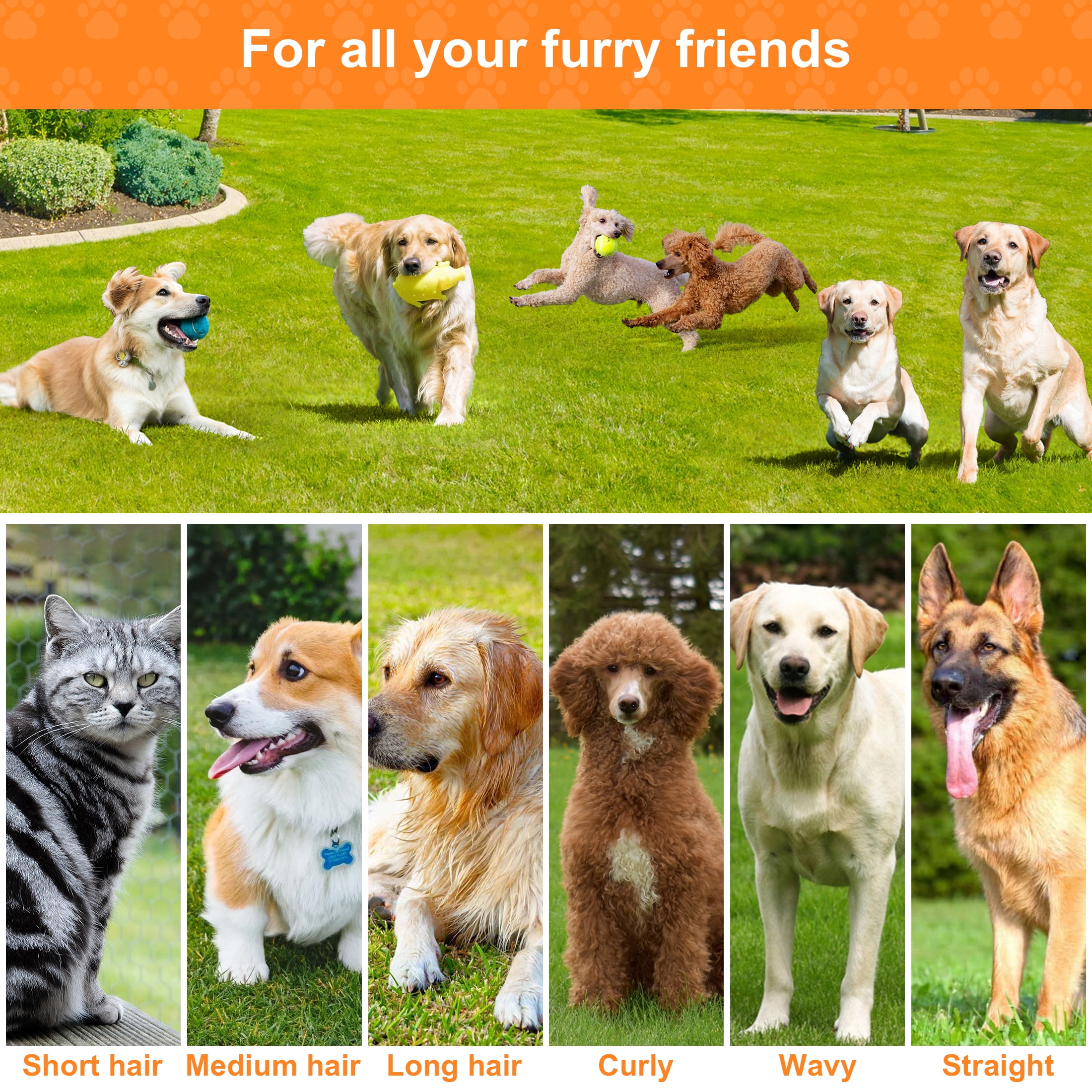 Monasem Dog Grooming Vacuum for Shedding, 13,200Pa Pet Grooming Vacuum Kit with Dogs Cats Clippers, 6 in 1 Low Noise Home Cleaning Tool - Image 3