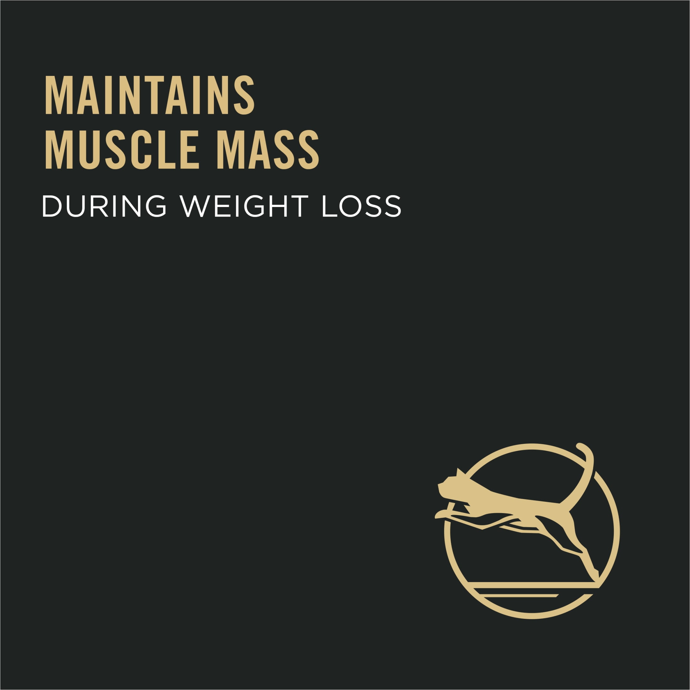 Purina Pro Plan Weight Management Dry Cat Food, Chicken & Rice, 16 lb Bag - Image 3