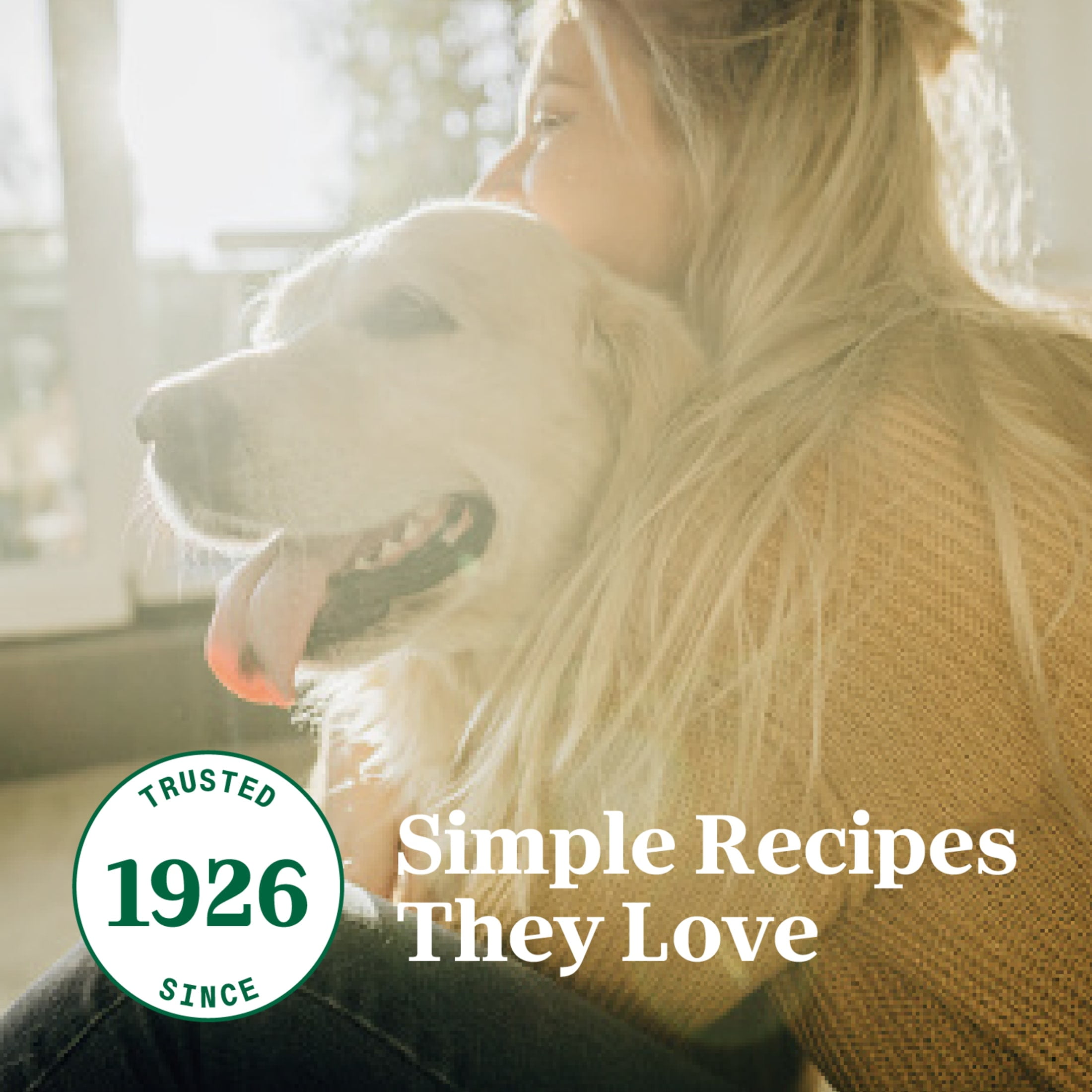 (4 pack) Nutro So Simple Chicken And Chicken & Duck Recipes Wet Dog Food, 2 Oz Trays, Variety Pack Of 8 - Image 11