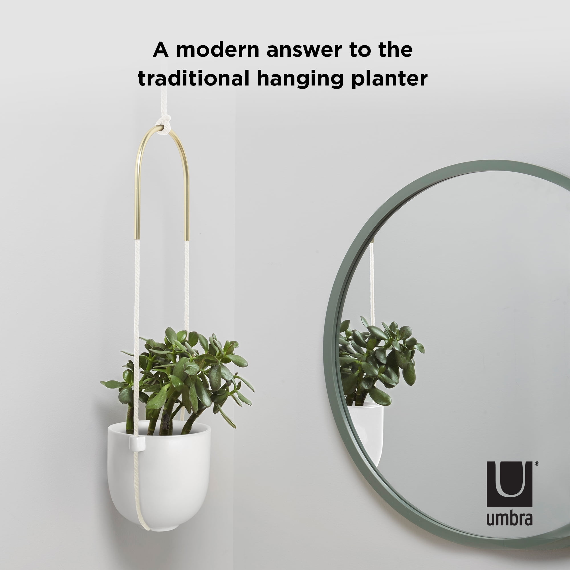 Umbra Bolo Ceramic Hanging Wall Planter White - Image 12
