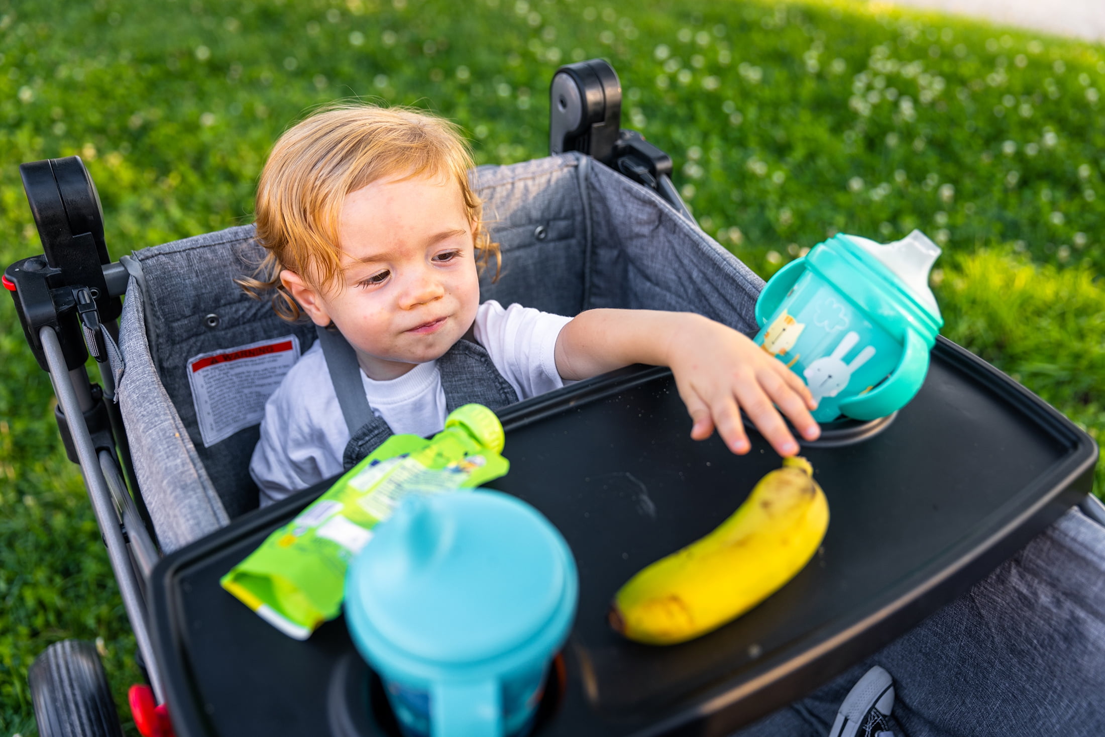 EVER ADVANCED Foldable Wagon Stroller for Two Kids & Toddler with Adjustable Pull & Push Handle, Removable Canopy with 5-Point Harness - Image 3