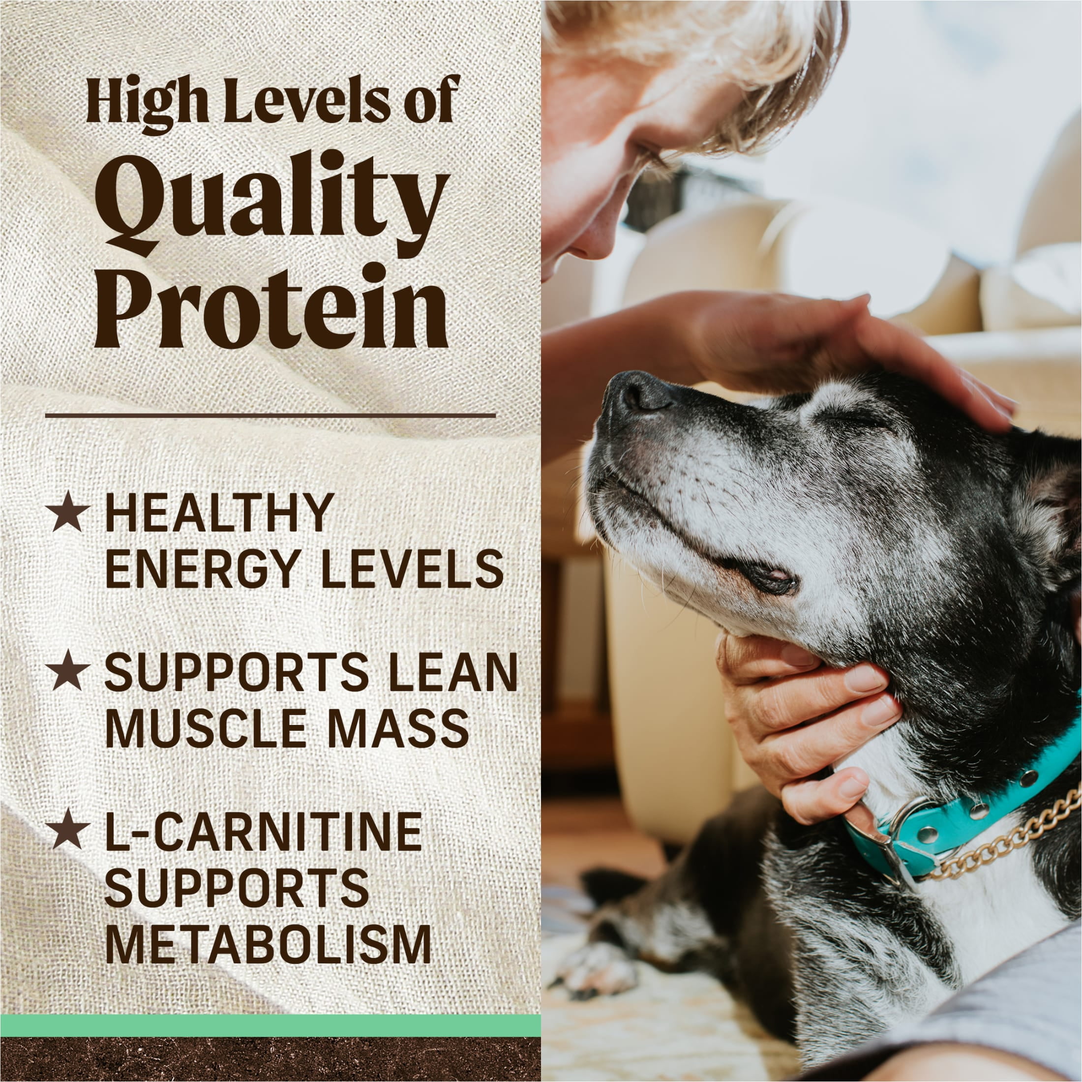 Merrick Grain-Free Dry Dog Food for Seniors, High Protein Real Chicken & Sweet Potato, 22 lb Bag - Image 9