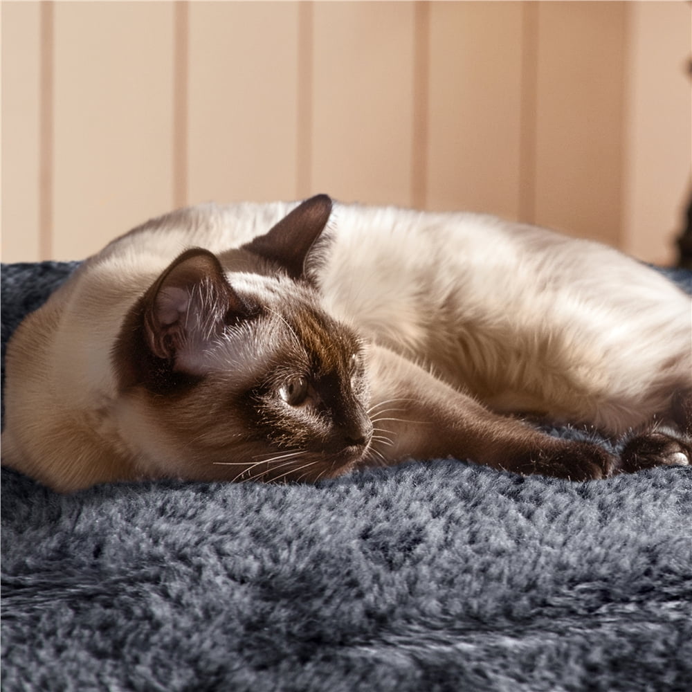 Alden Design 54.5" H Double Condo Cat Tree with Scratching Post Tower, Dark Gray - Image 10