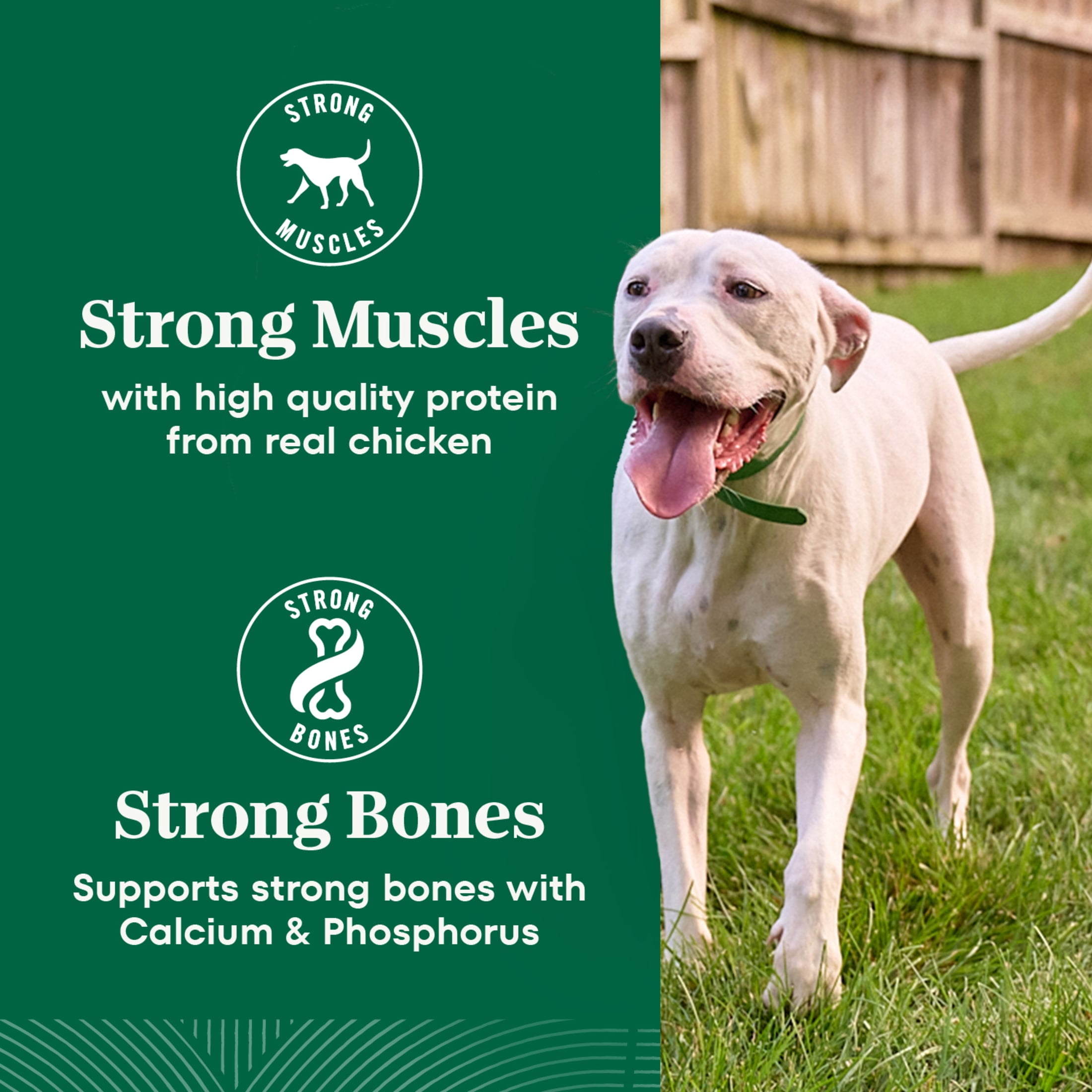 Nutro Natural Choice Adult Large Breed Dog Food Dry Recipe Chicken & Brown Rice, 36 Lb Bag - Image 14