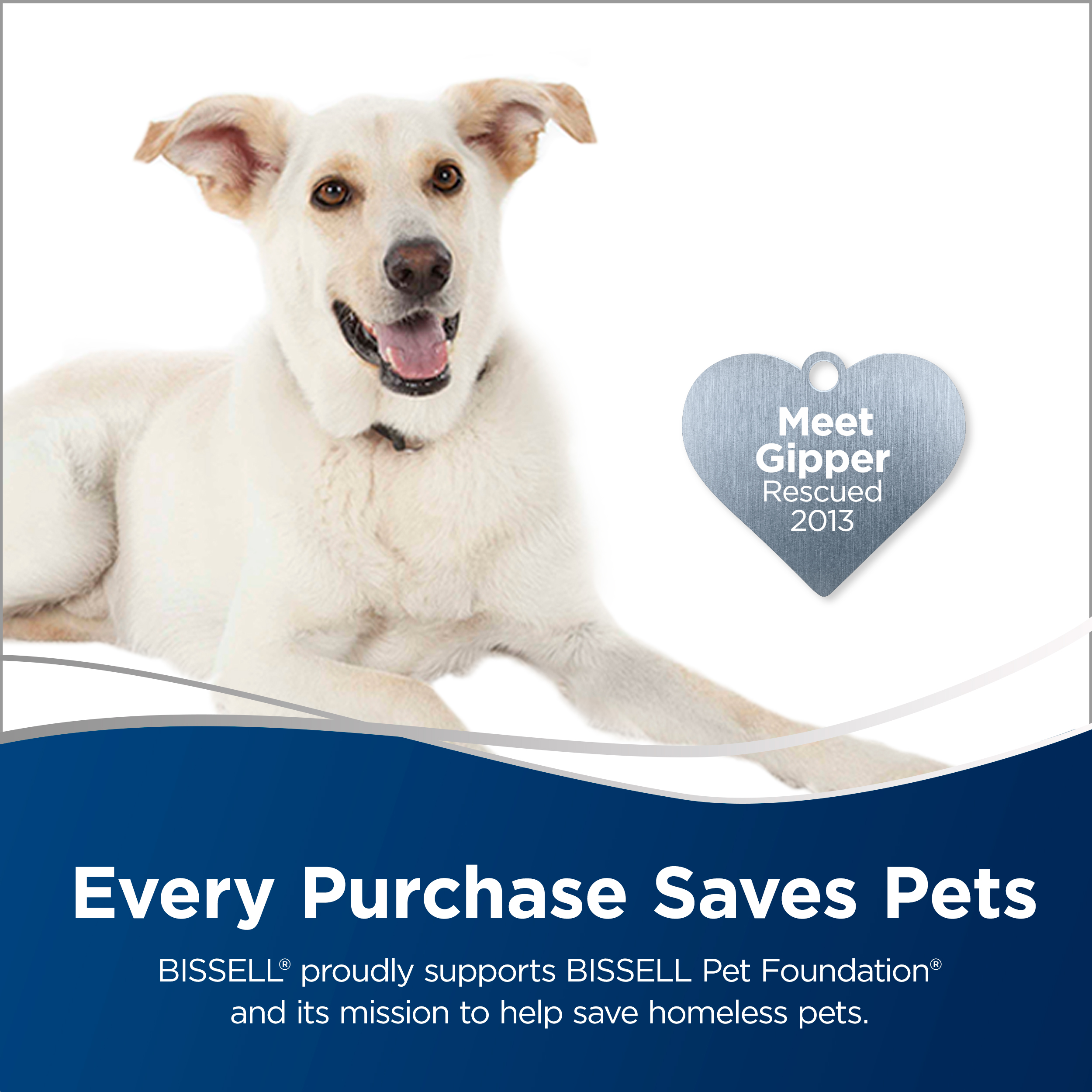 BISSELL Pet Hair Eraser Bagless Canister Vacuum, 2230 - Image 5