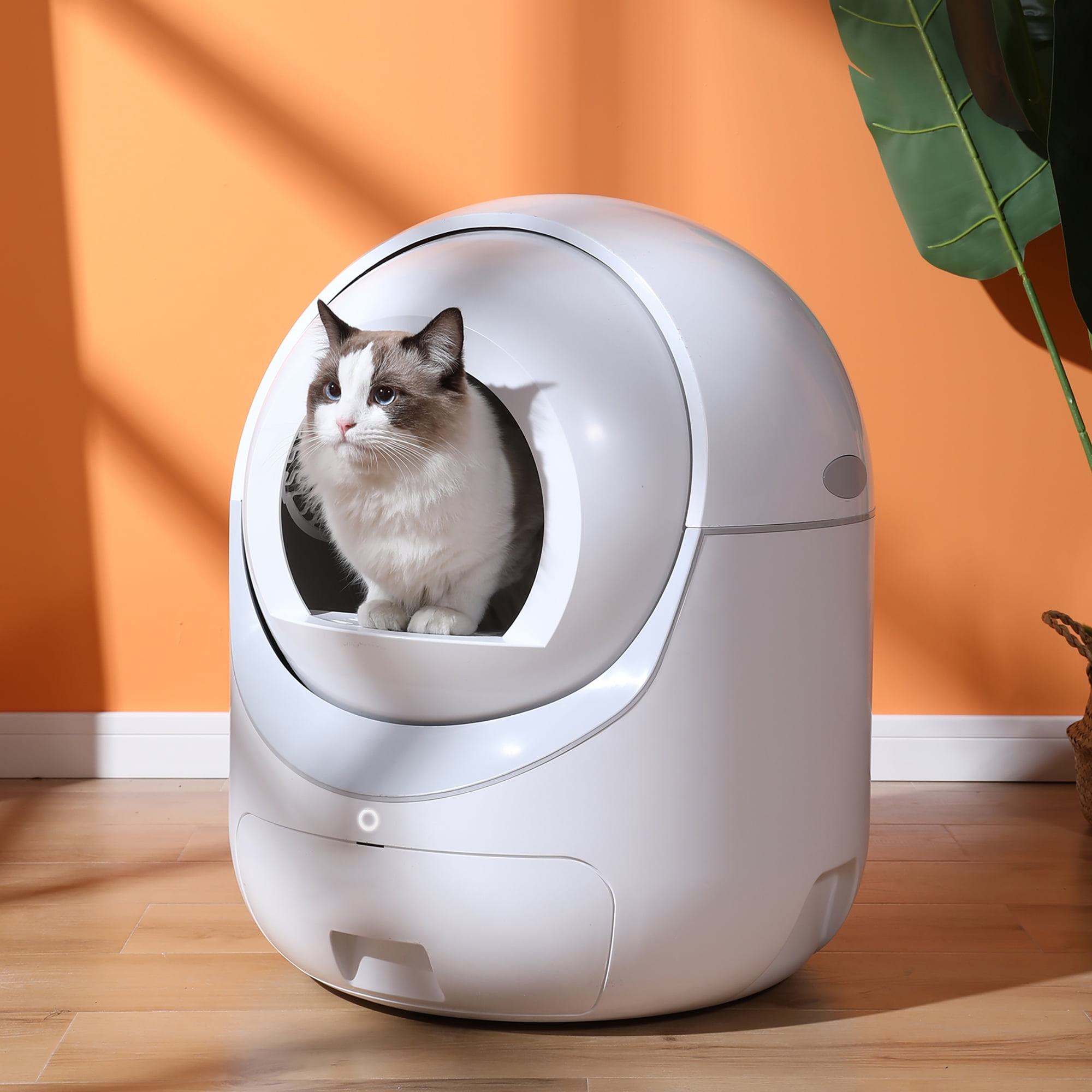 Smart Automatic Cat Litter Box, Self Cleaning Litter Box, App Control, Support 5G & 2.4G WiFi for Multiple Cats - Image 8