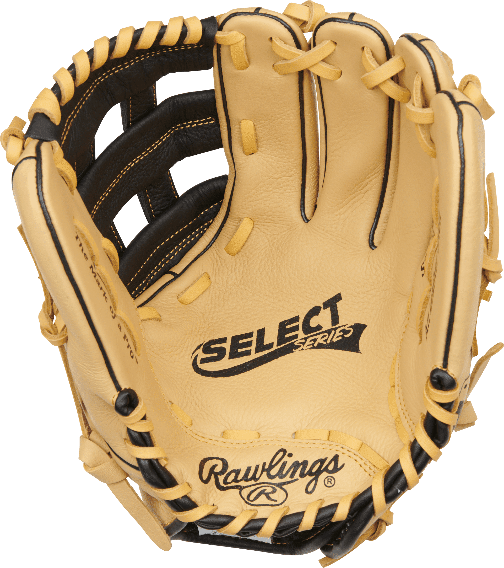 Rawlings | Select Series Mark of a Pro Youth Baseball Glove | 12 inch - Image 6
