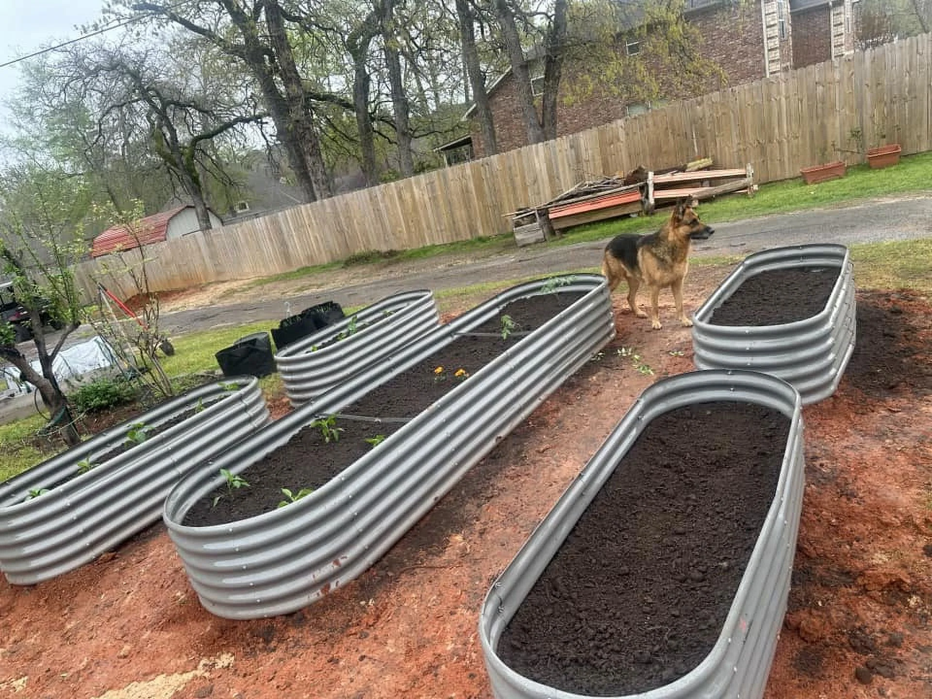 TRAMULL 6X2X1.5 ft Galvanized Raised Garden Beds Outdoor, Oval Round Metal Planter Box (Quartz Grey) - Image 5