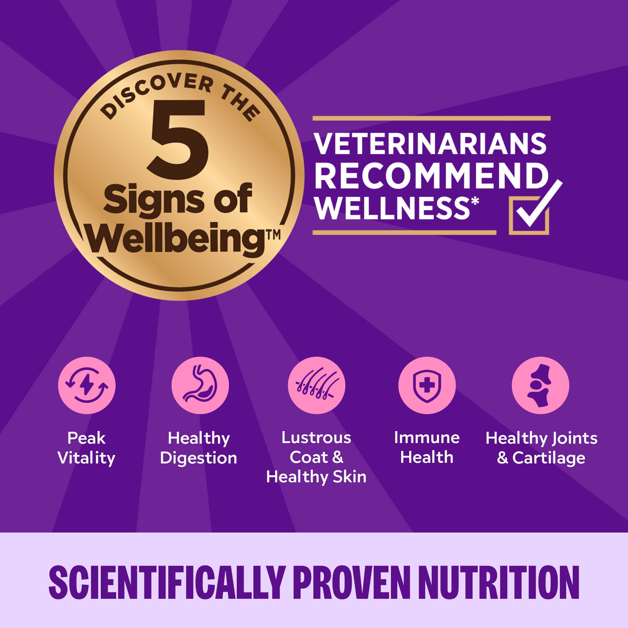 Wellness Complete Health Pate Adult Wet Cat Food, Natural, Protein-Rich, Grain Free, 5.5 Ounce, 24 Pack, (Chicken) - Image 3