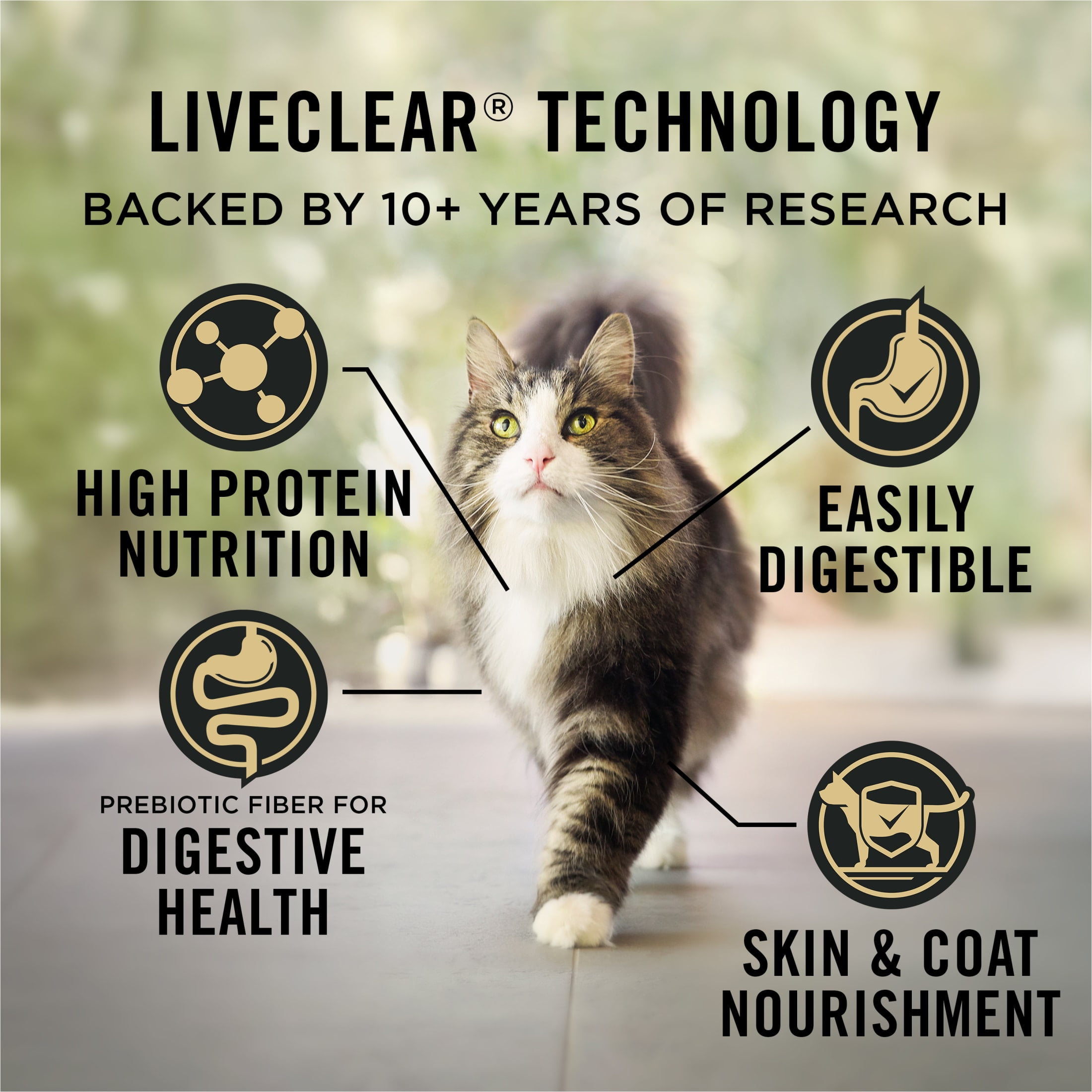 Purina Pro Plan LiveClear Sensitive Skin and Stomach Turkey and Oat Meal Formula Dry Cat Food, 12.5 lb. - Image 7