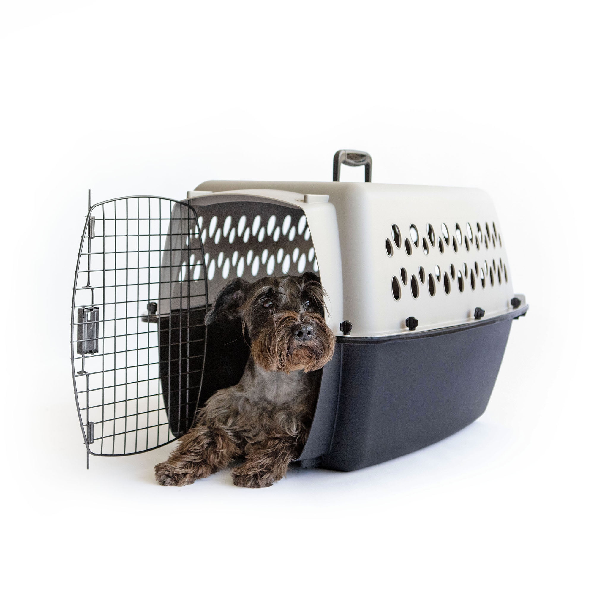 Vibrant Life Pet Portable Kennel for Dogs, Hard-Sided Travel Carrier, Durable, Metal Door, Black & Grey, For Pets 15-25 lbs, 26.2" L x 18.6" W x 16.5" H - Image 8