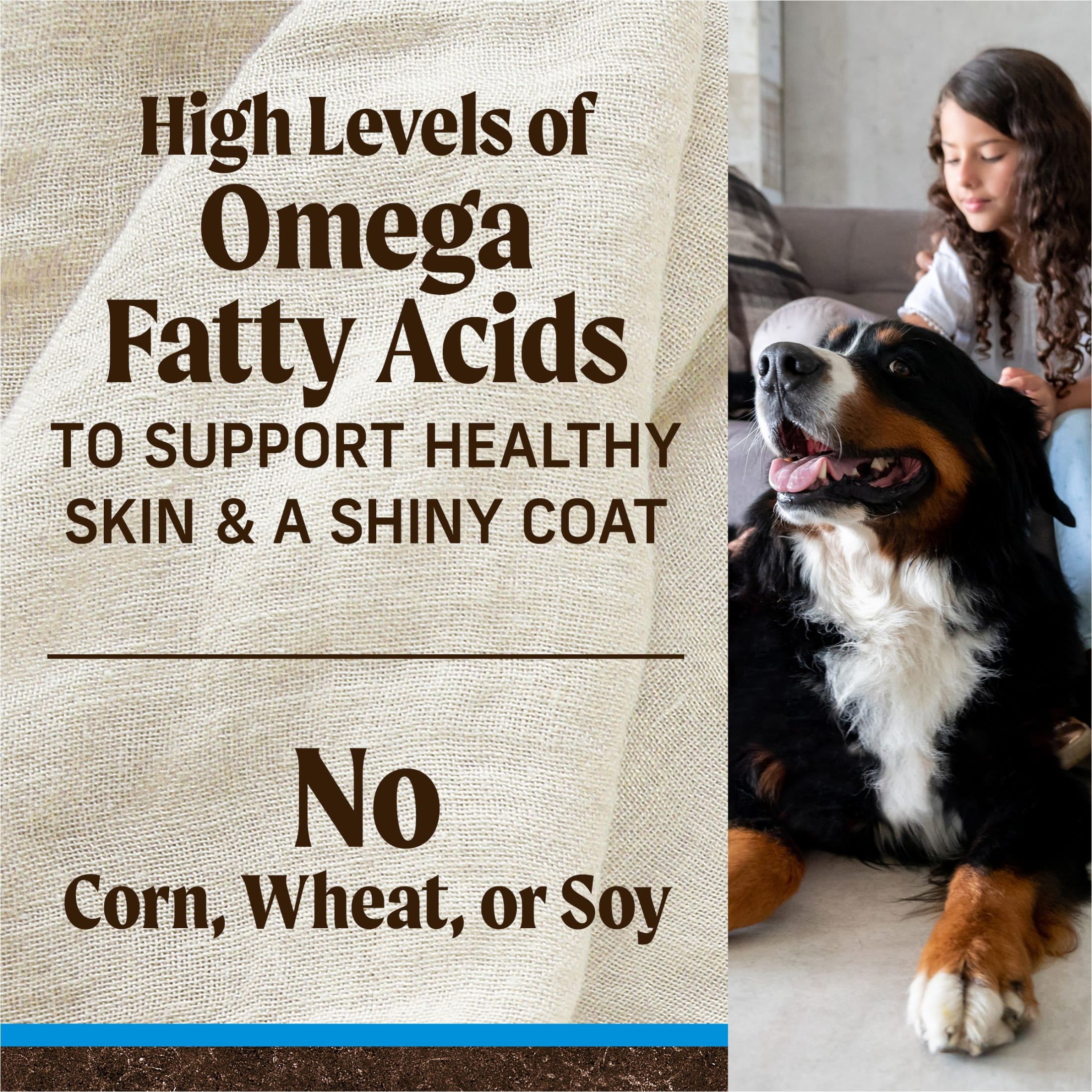 Merrick Grain-Free Large Breed Dry Dog Food for Adults, Real Chicken & Sweet Potatoe, 22 lb Bag - Image 7