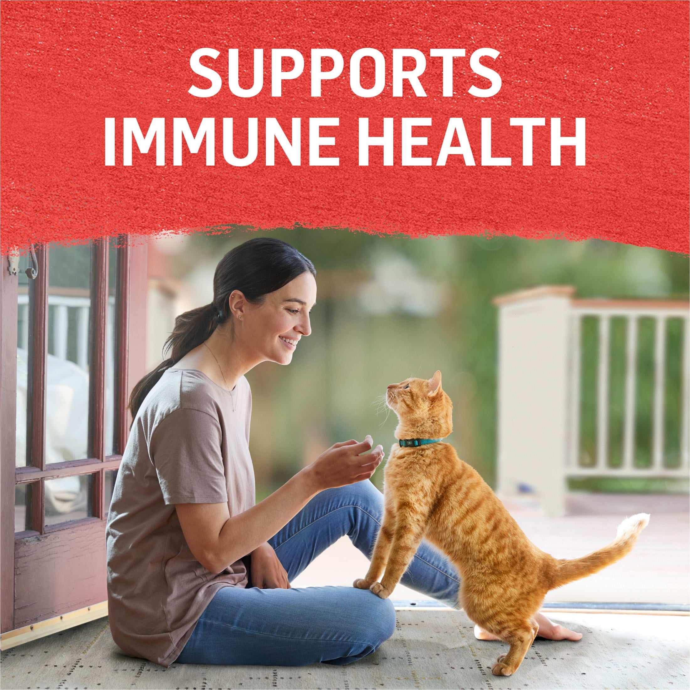 Purina Beyond, Immune Health Variety Pack, 12 Pack, 3 oz Cans - Image 6