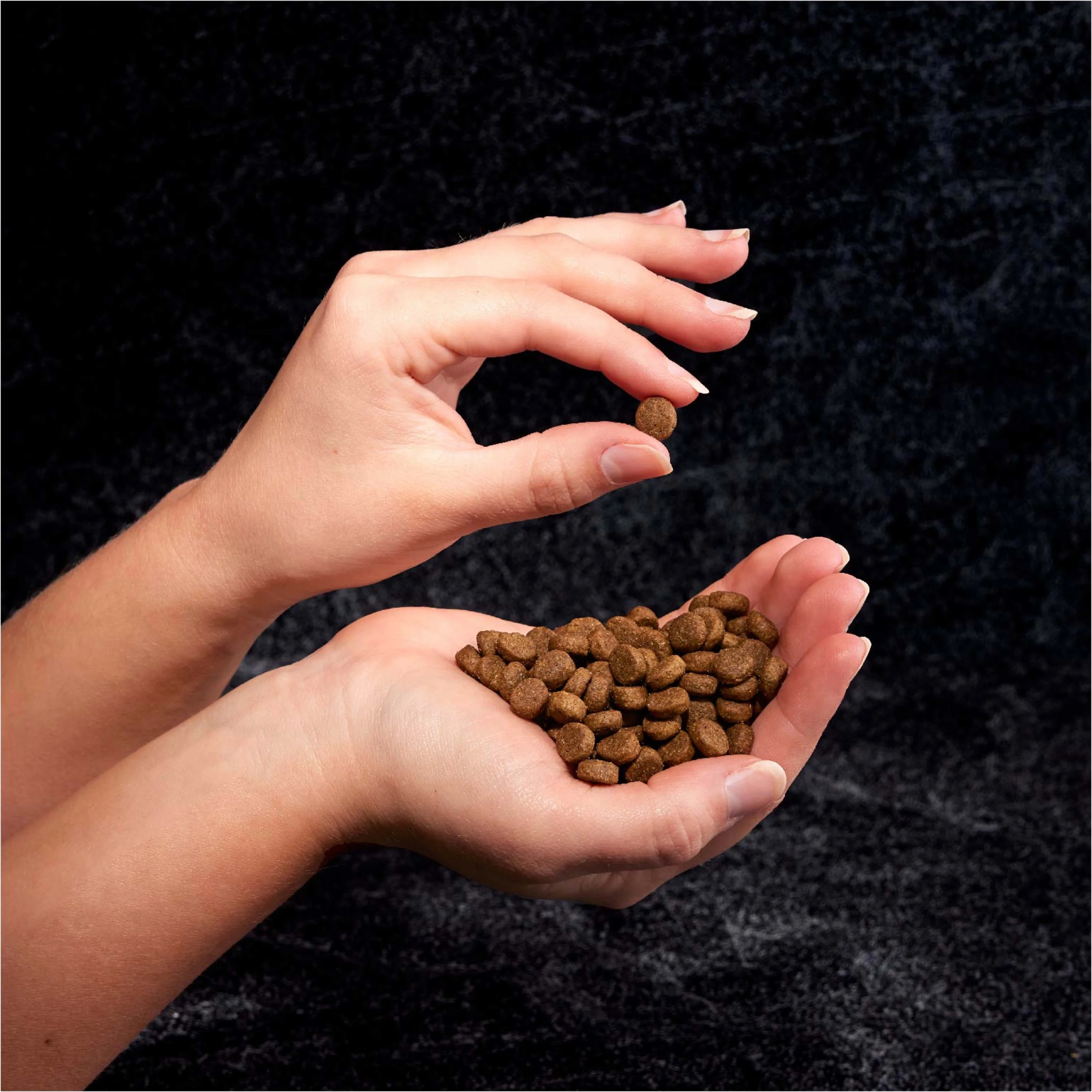 Crave Grain Free Adult Dry Dog Food With Protein From Beef, 22 Lb. Bag - Image 8