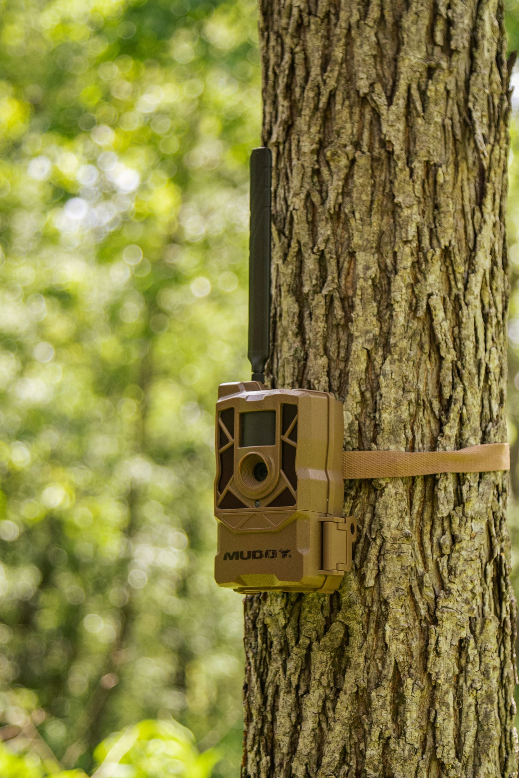 Muddy Morph Cellular Trail Monitor, 26 Megapixels, Verizon - Image 5