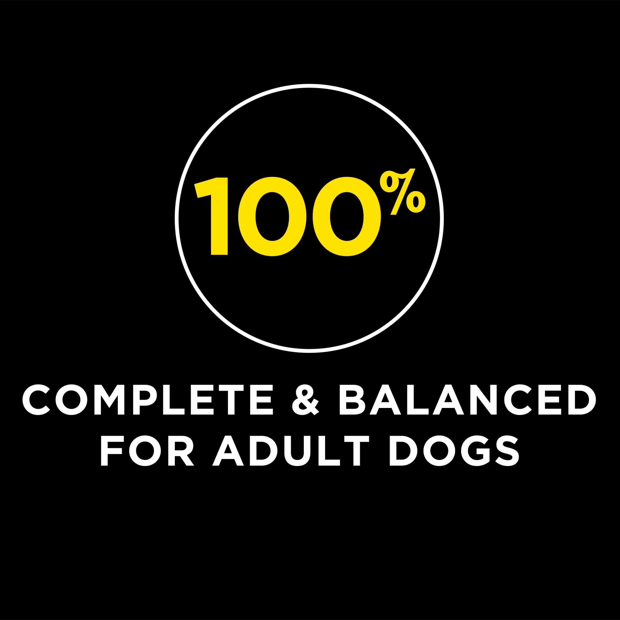 Purina Dog Chow High Protein Adult Dry Dog Food, Real Lamb & Beef, 44 lb Bag - Image 3