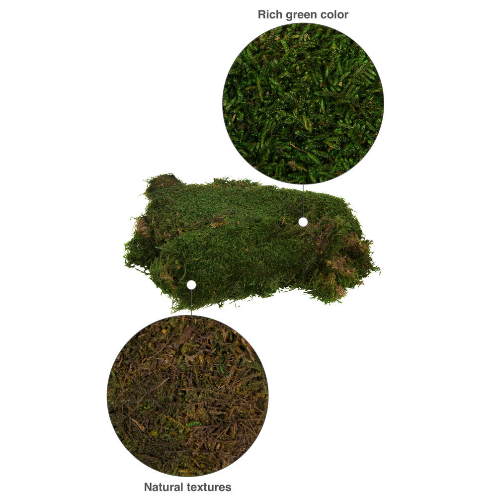 Vickerman Box Green Moss, Sheet - 6.6 Lbs Bulk Case, Preserved - Image 7