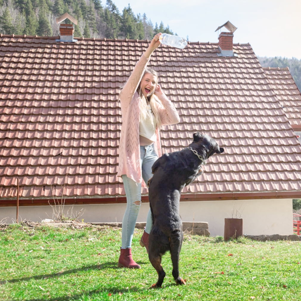 BestPet Folding Dog Crate with Divider and Tray, 42"L - Image 4