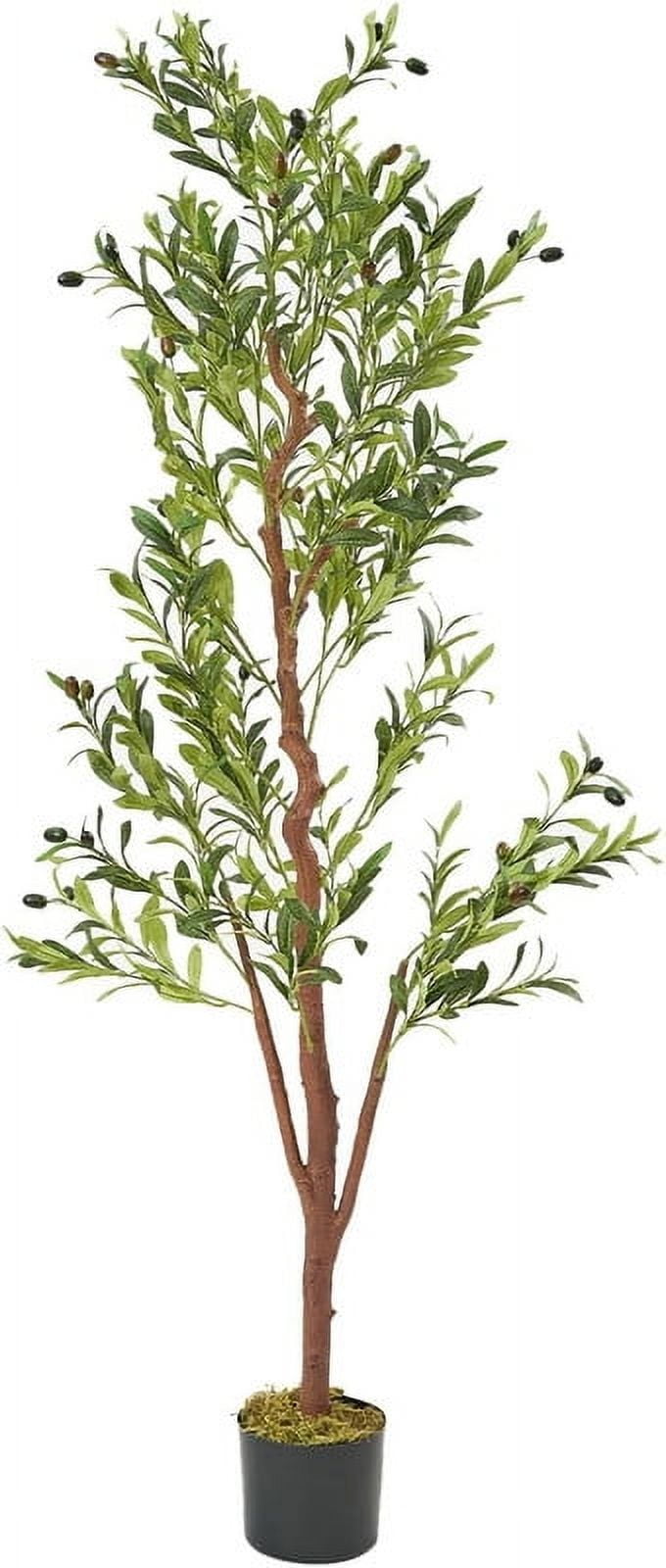 Hawsaiy 6FT Artificial Olive Tree with Natural Wood Trunk, Realistic Leaves & Fruits for Modern Home Office Living Room Decor - Image 2