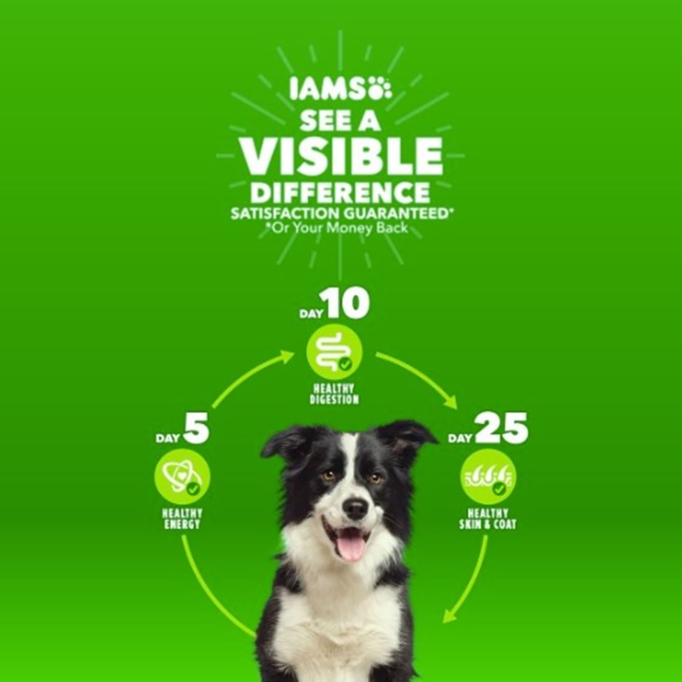 Iams Proactive Health Chicken And Whole Grains Flavor Dry Dog Food, 40 Lb Bag - Image 8