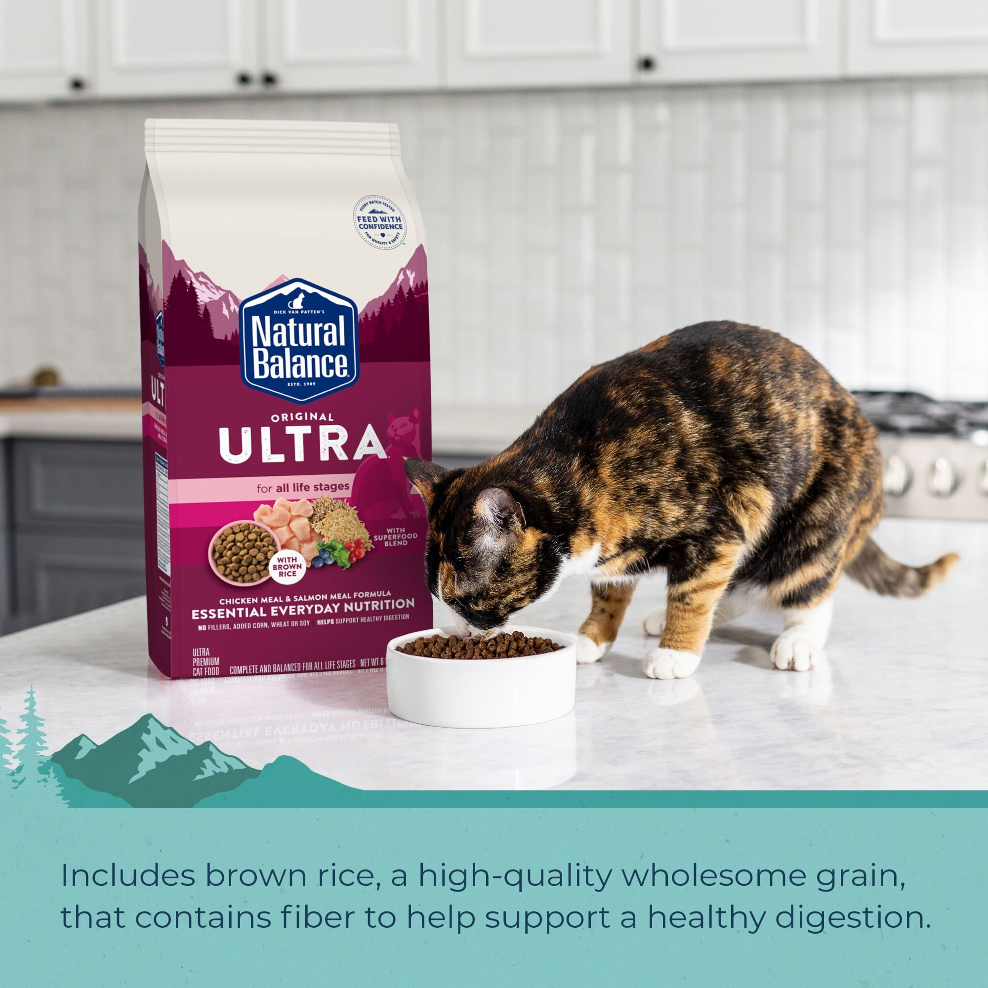 Natural Balance Original Ultra Chicken Meal & Salmon Meal Formula Dry Cat Food, 15 Pounds - Image 7