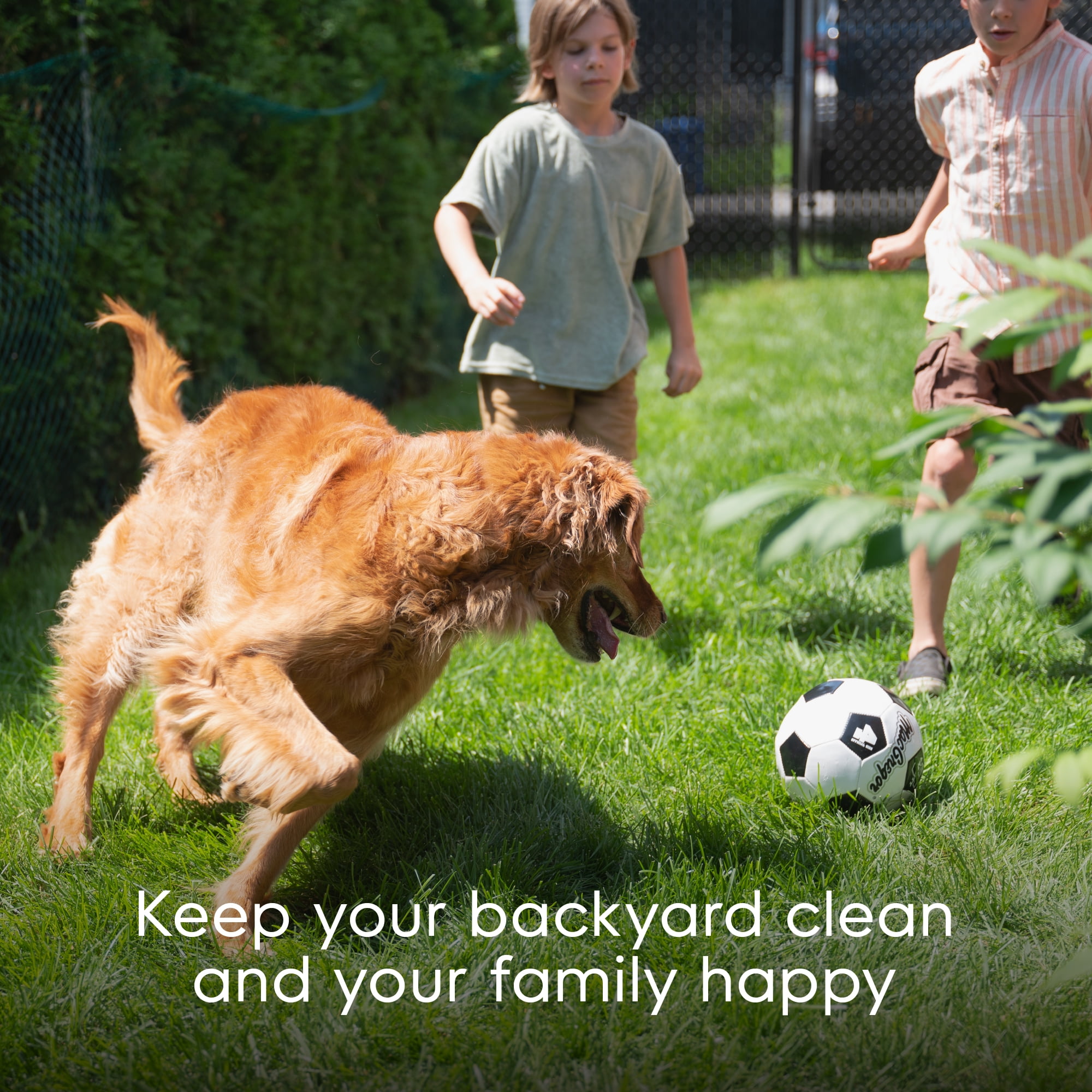 Pet Genie Dog Waste Disposal System, Gray, up to 2 Month Refill Included - Image 13