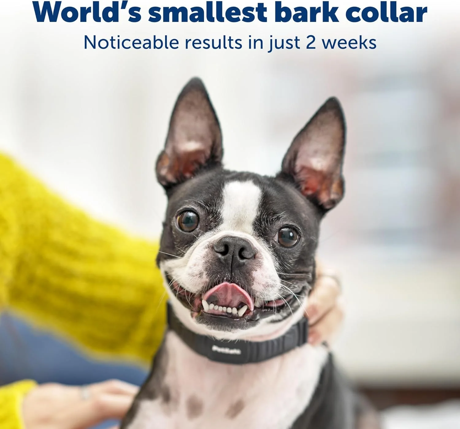 PetSafe NanoBark Collar - World's Smallest Bark Collar for Small and Medium Dogs - Image 5