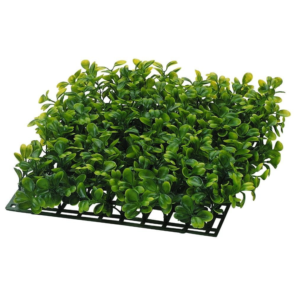 Tetra Tetrafauna 20-Gallon Deluxe Aquatic Glass Turtle Tank Starter Kit - Image 7