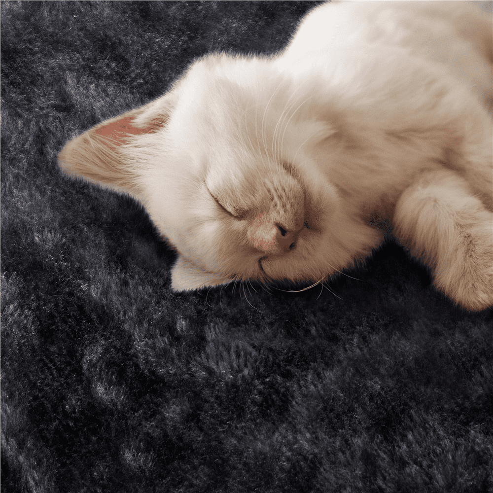 Renwick 57" Double Condos Cat Tree with Scratching Post Tower, Black - Image 11