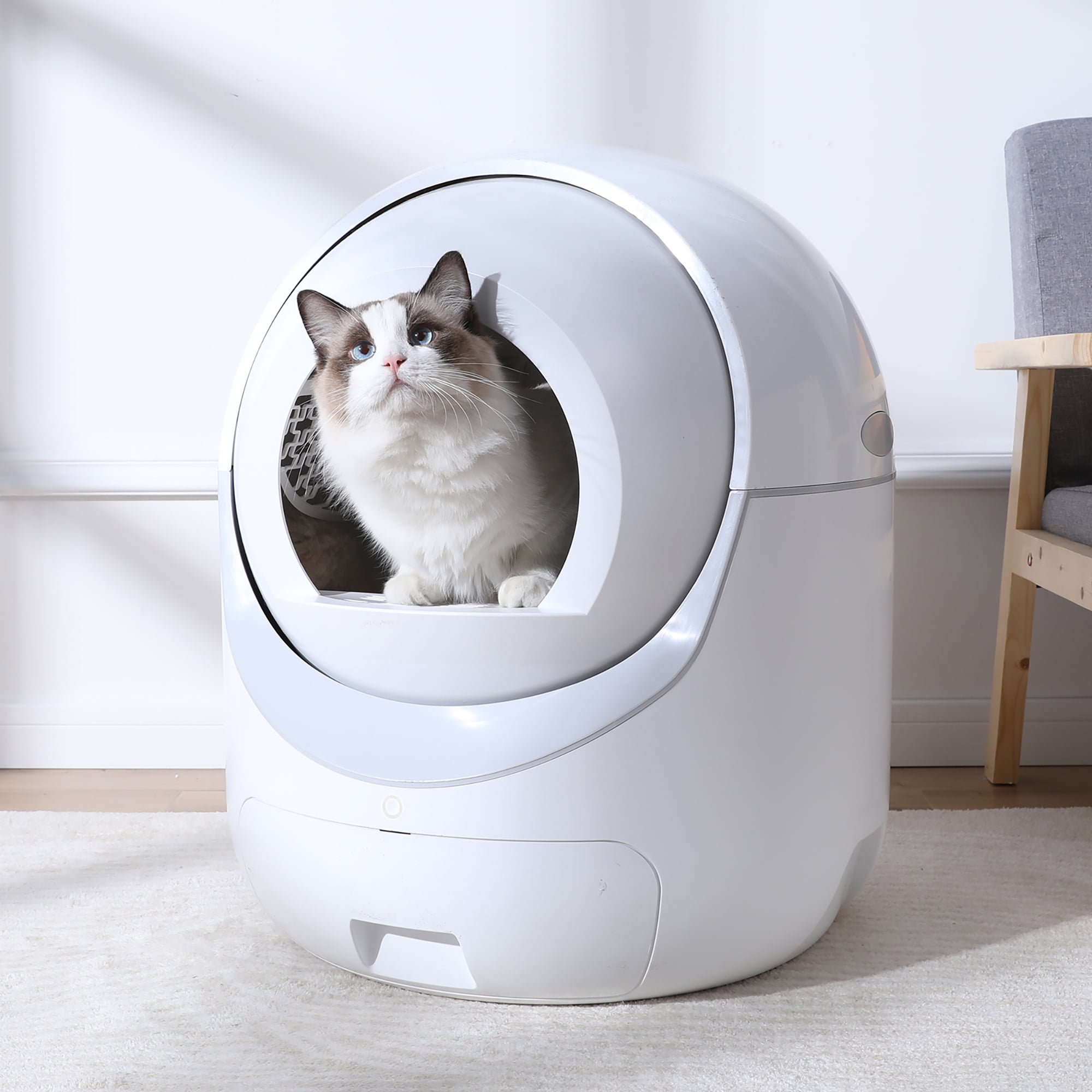 Smart Automatic Cat Litter Box, Self Cleaning Litter Box, App Control, Support 5G & 2.4G WiFi for Multiple Cats - Image 7