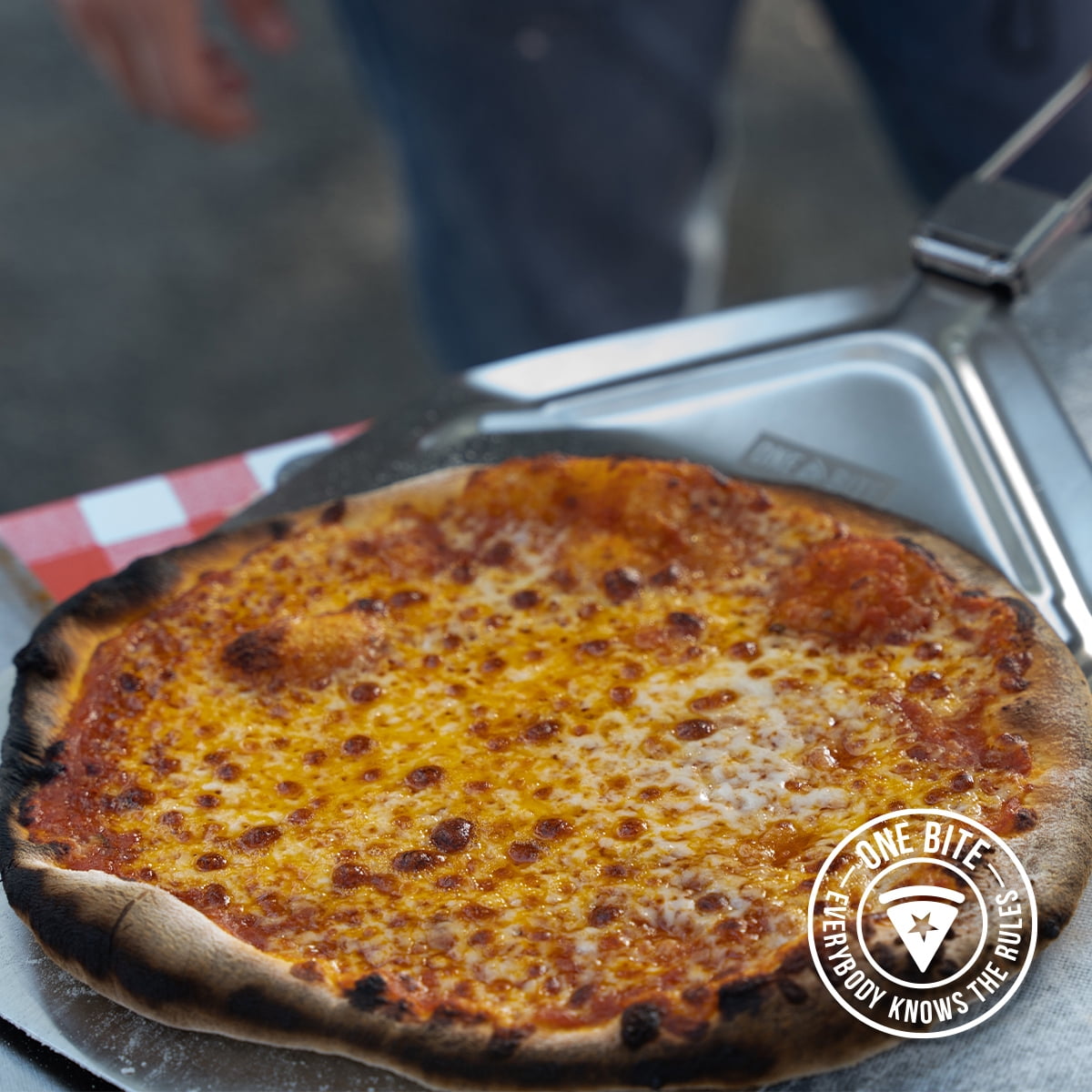 One Bite Charcoal Wood Pizza Oven - Image 3