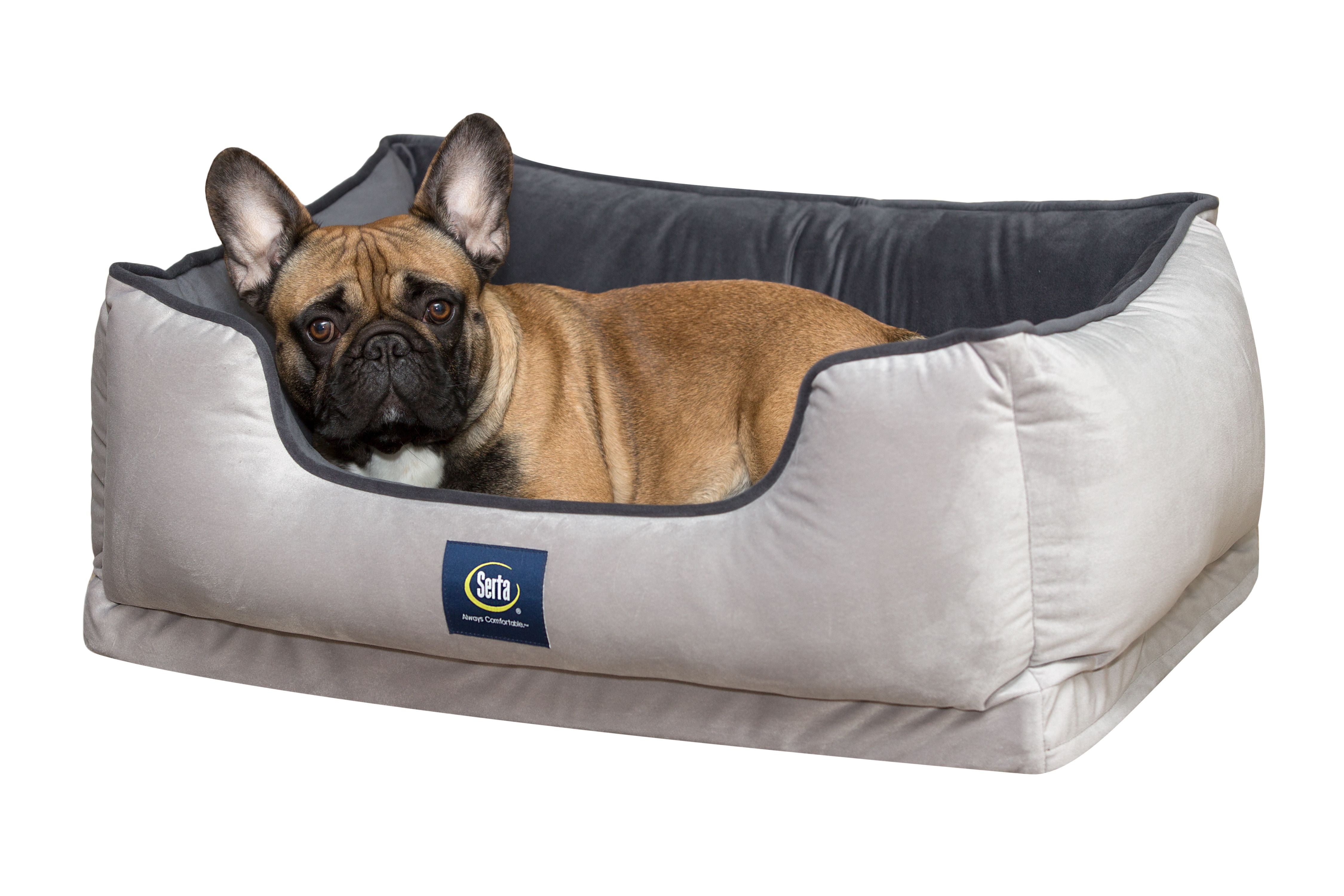 Serta Ortho Cuddler Pet Bed, Large - Image 11