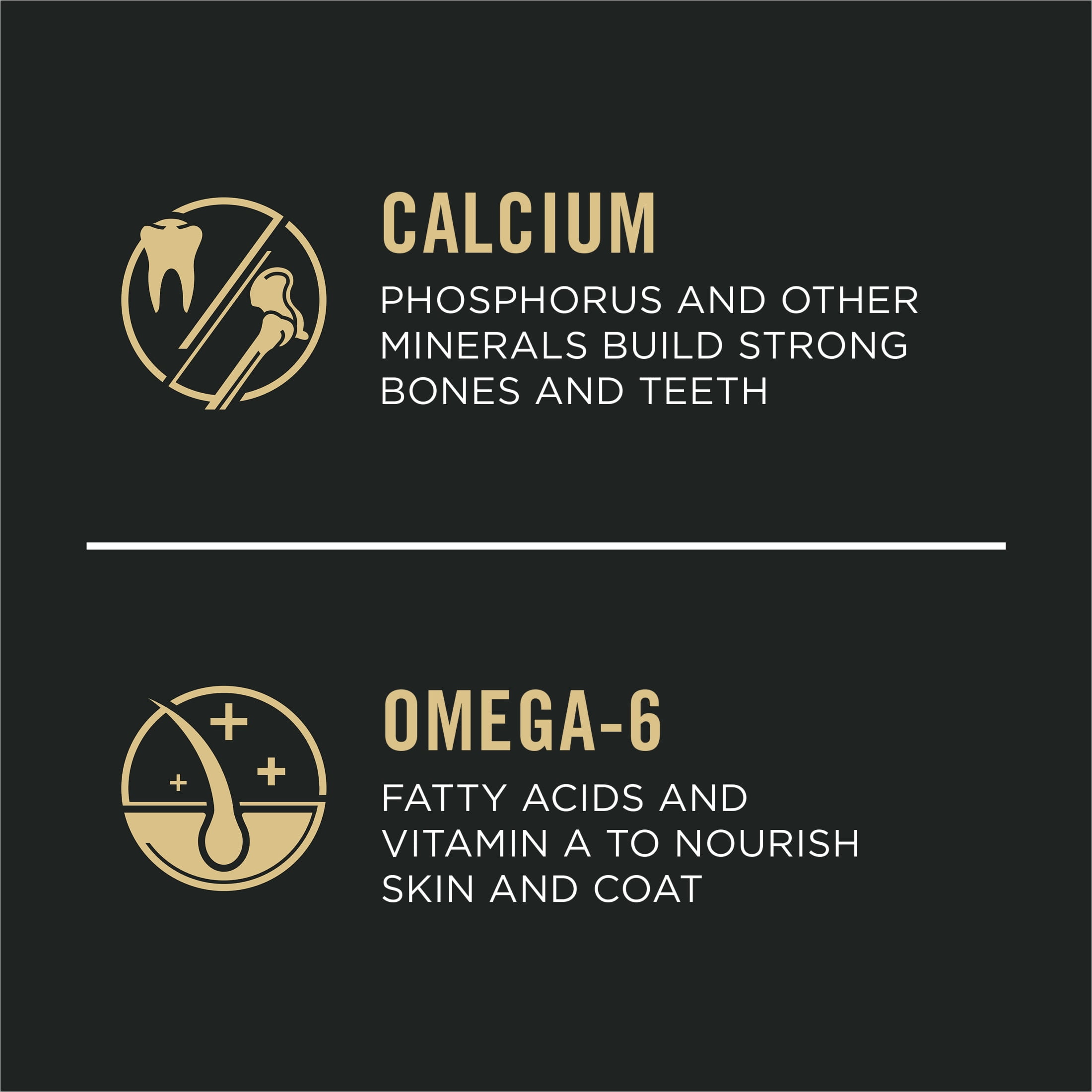 Purina Pro Plan Puppy Dry Dog Food, Dogs Under 1 Year, High Protein Real Lamb & Rice Formula, 34 lb Bag - Image 11