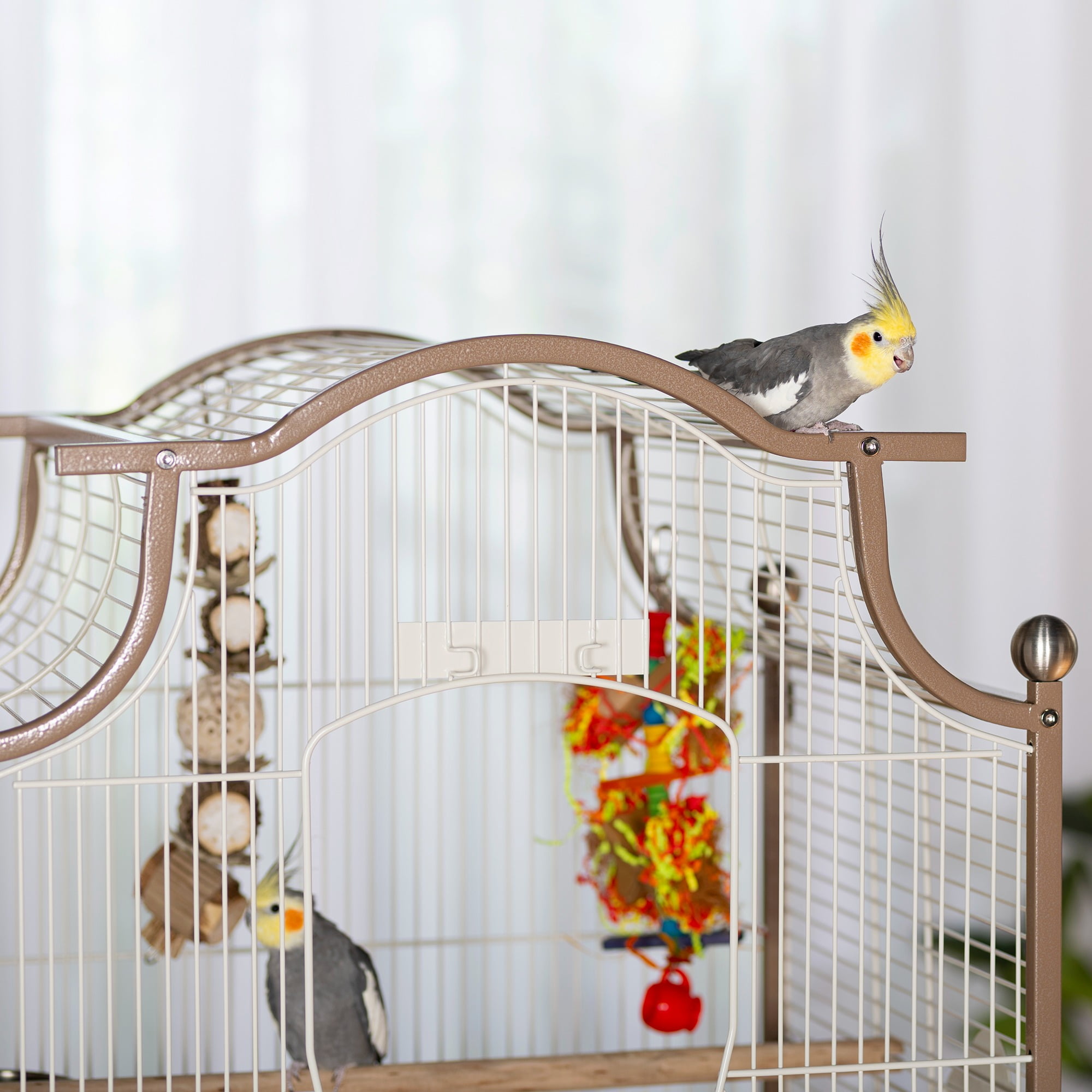 Prevue Pet Products Pagoda Cockatiel Bird Cage - Coco 3141 - Image 4