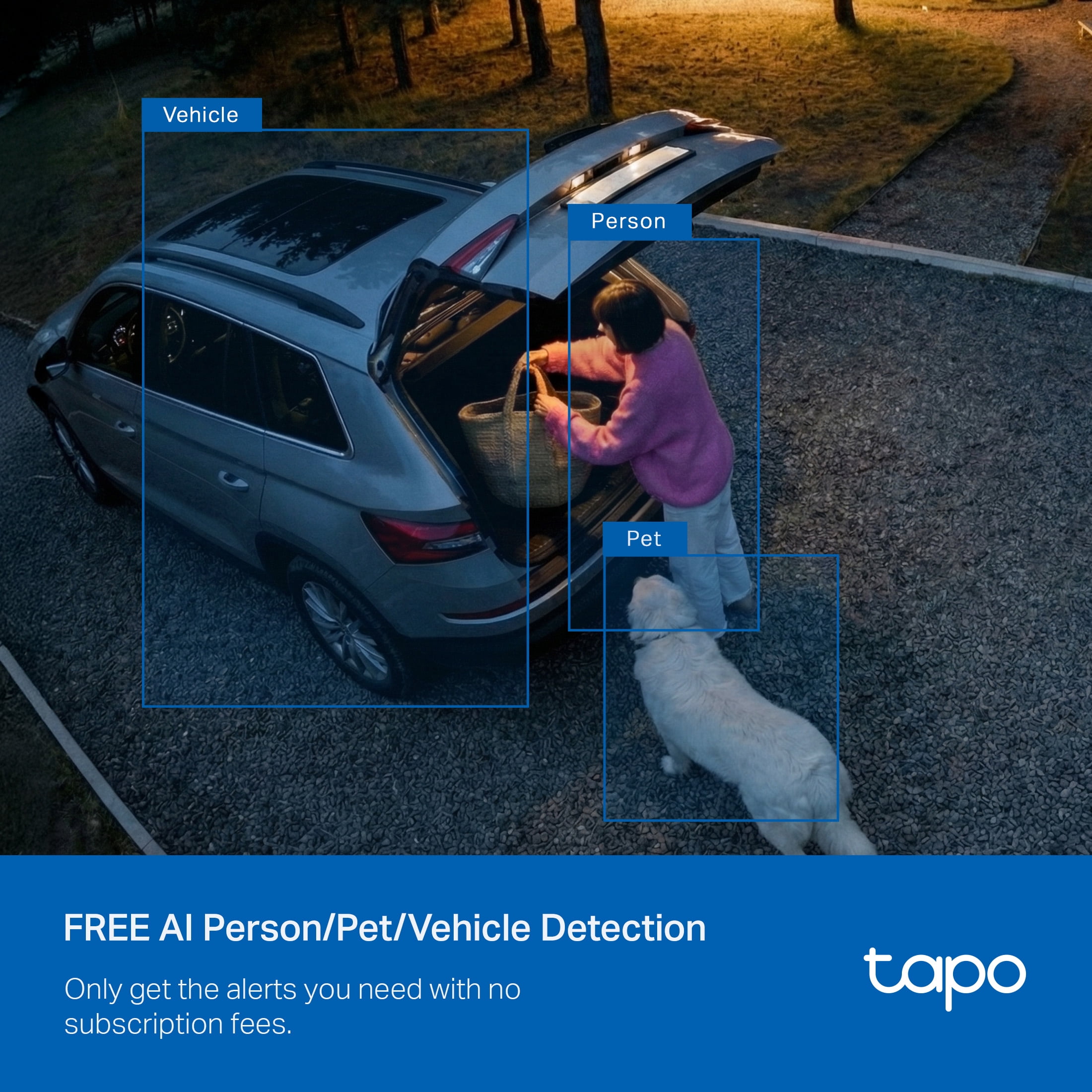 TP-Link Tapo Wired, Ultra-Bright Motion-Activated, Weatherproof Floodlight with 2K Camera, Two-Way Audio, Full-Color Night Vision, Smart AI Detection. Easy App Setup. No-Subscription Required - TC53 - Image 3