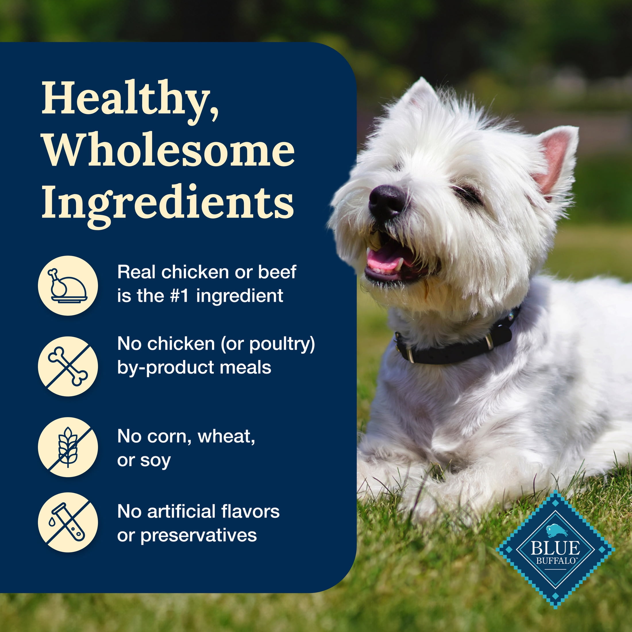 (4 pack) Blue Buffalo Delectables Natural Wet Dog Food Variety Pack, Chicken & Beef, 3-oz. (12ct) - Image 7