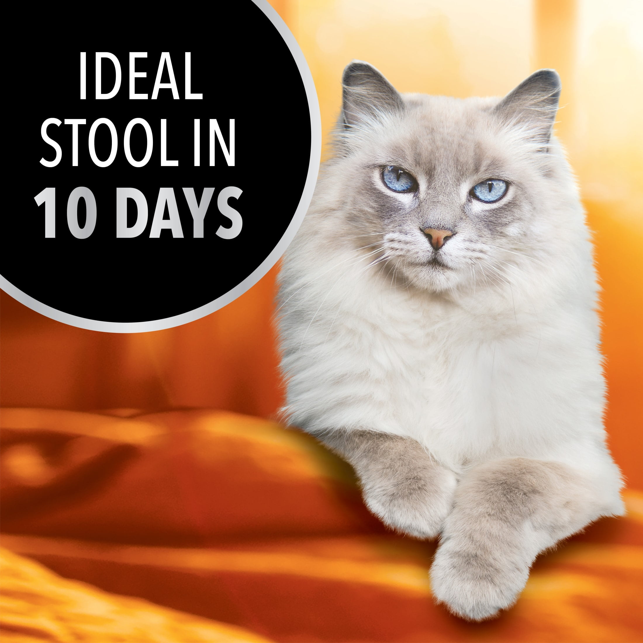 Iams Advanced Health Healthy Digestion Turkey & Chicken Recipe Adult Dry Cat Food, 16 Lb Bag - Image 7