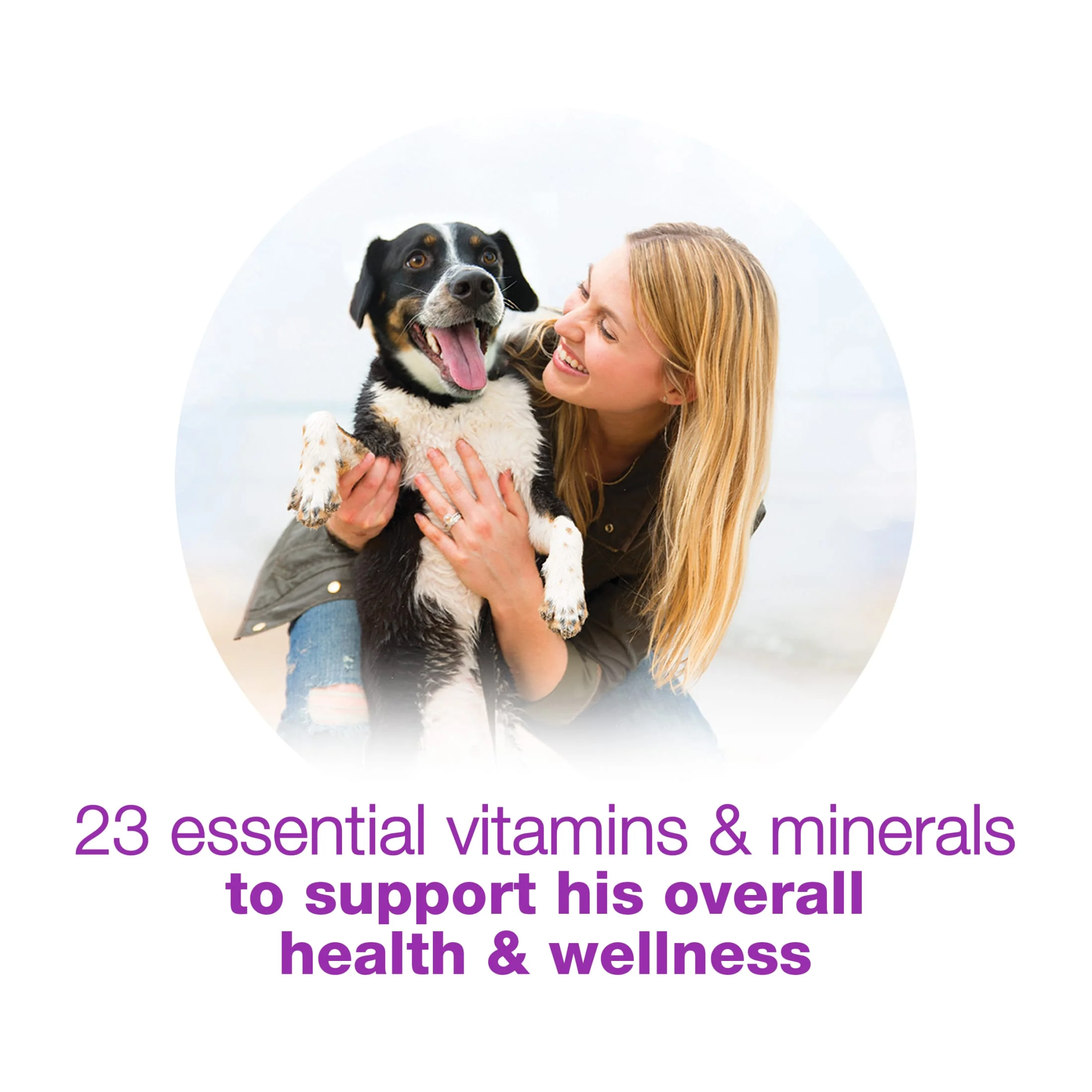 (3 pack) Purina Beneful Chopped Blends Wet Dog Food Soft Beef, Chicken, Salmon & Lamb, 10 oz Tubs - Image 10