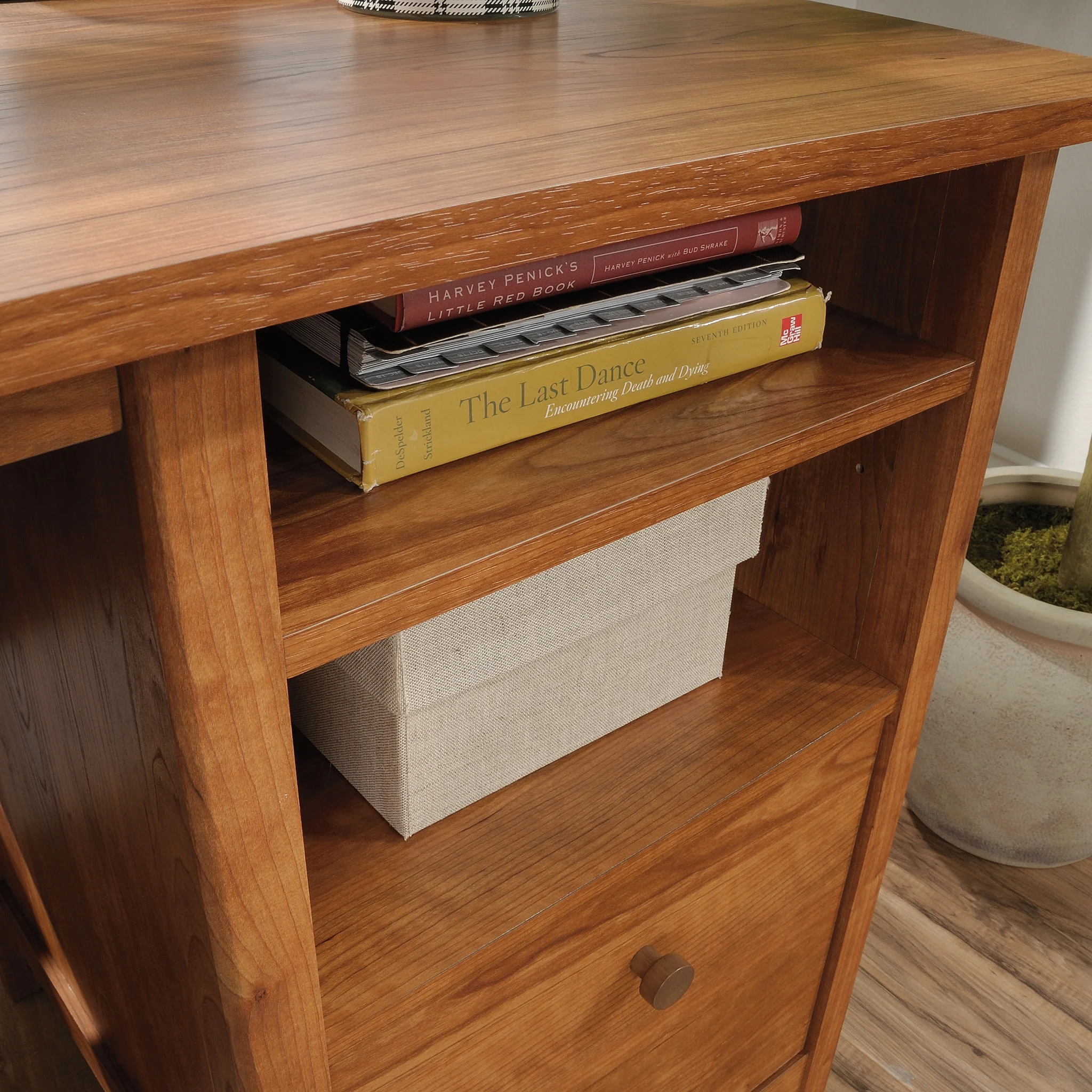 Sauder Union Plain Single Pedestal Desk, Prairie Cherry Finish - Image 4