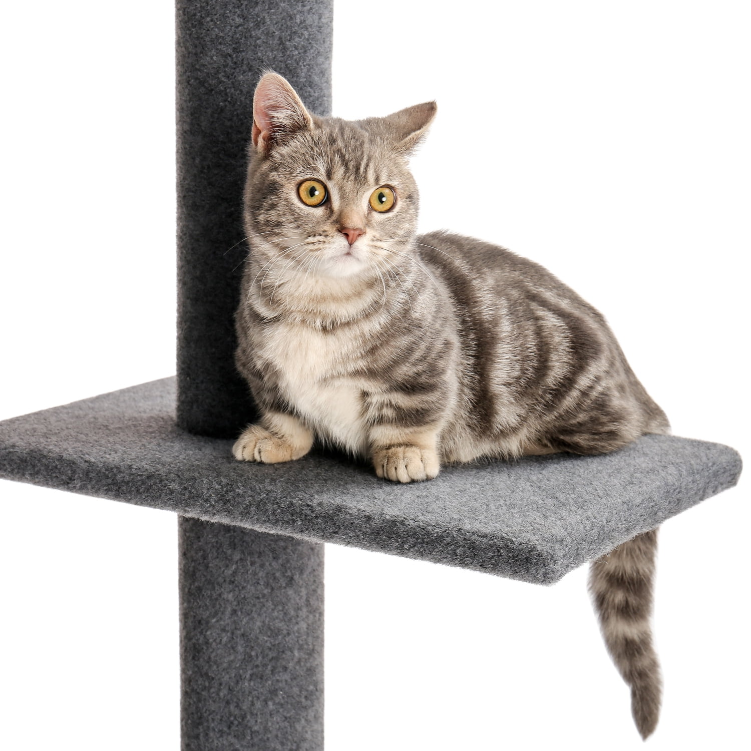 PAWZ Road 90-107" Floor to Ceiling Cat Tree Tower 4 Tier Tall Cat Climbing Posts Adjustable, Gray - Image 7